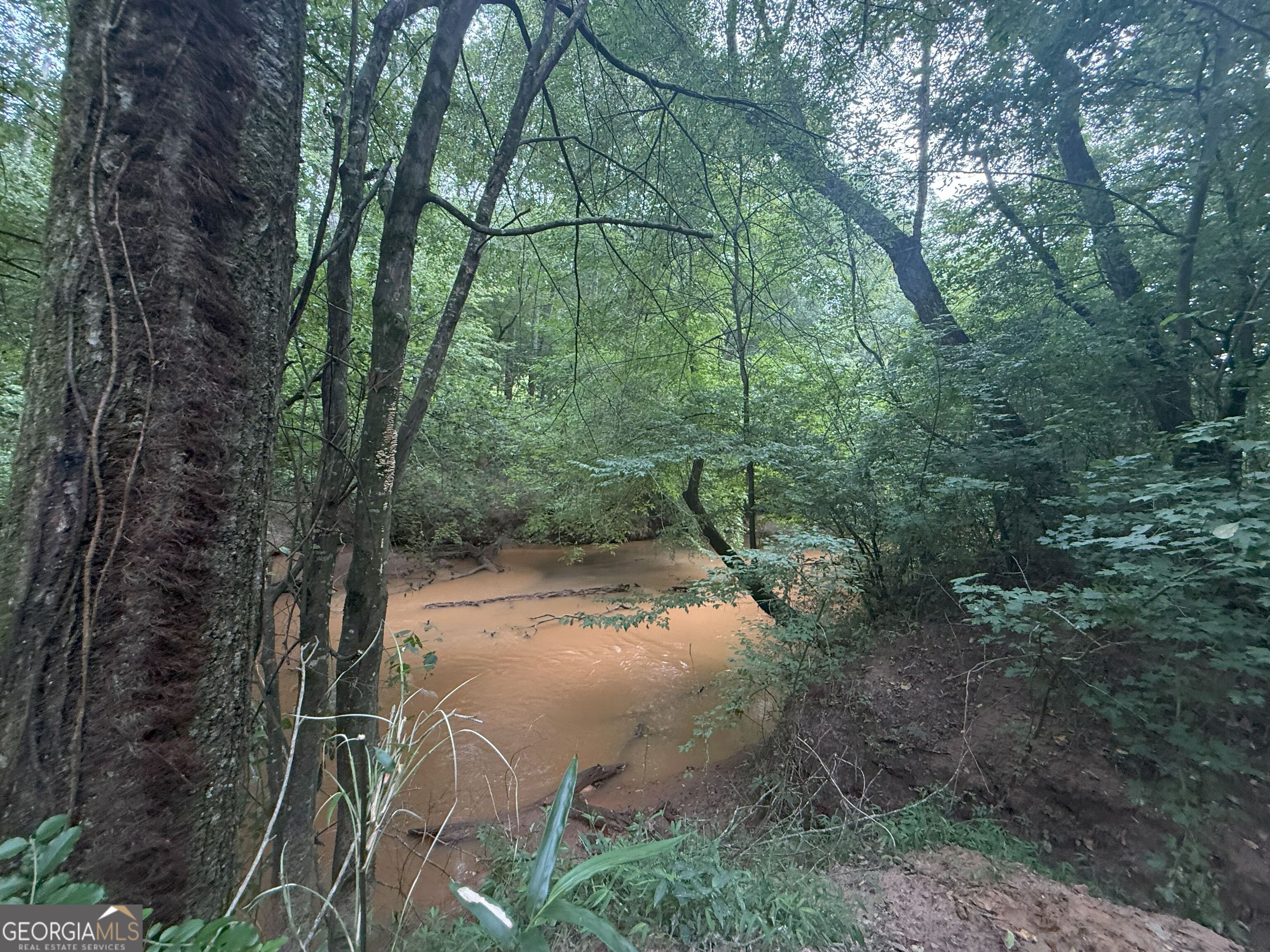 11 Owens Road Maysville, GA 30558 - Photo 88 of 147 a view of a yard with a tree