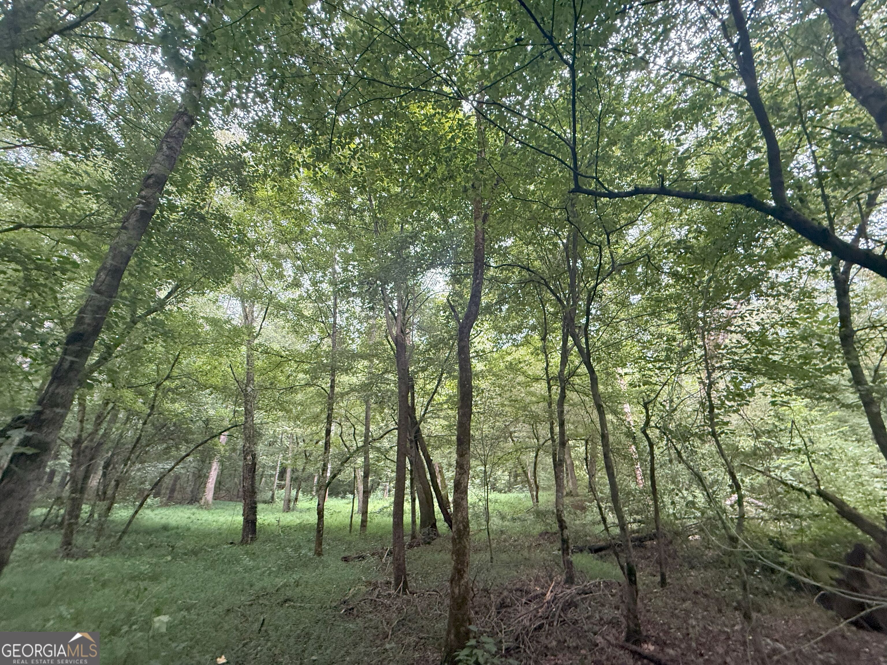 11 Owens Road Maysville, GA 30558 - Photo 90 of 147