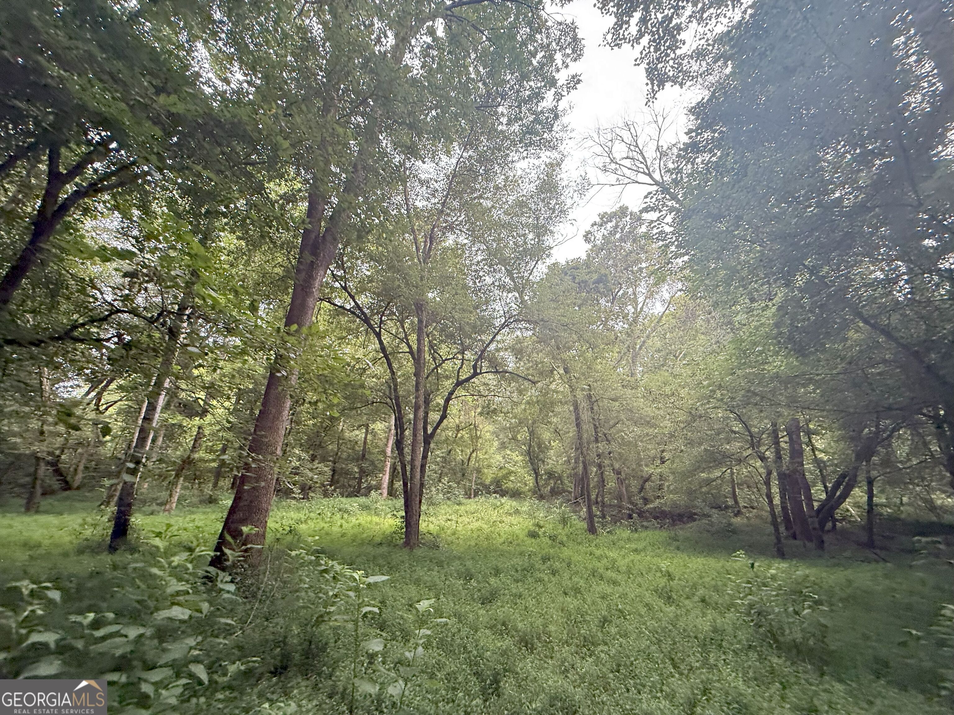 11 Owens Road Maysville, GA 30558 - Photo 92 of 147