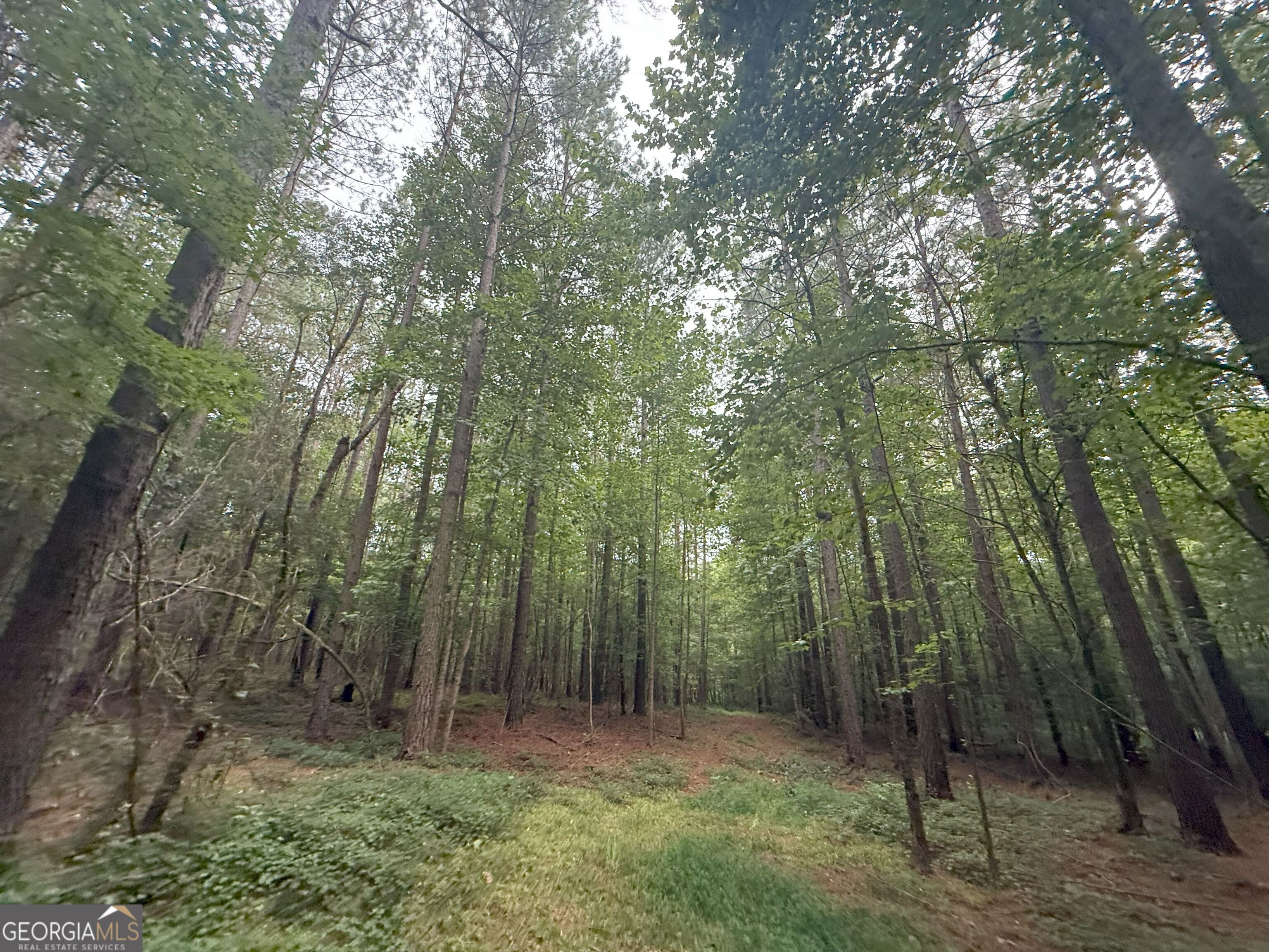 11 Owens Road Maysville, GA 30558 - Photo 94 of 147