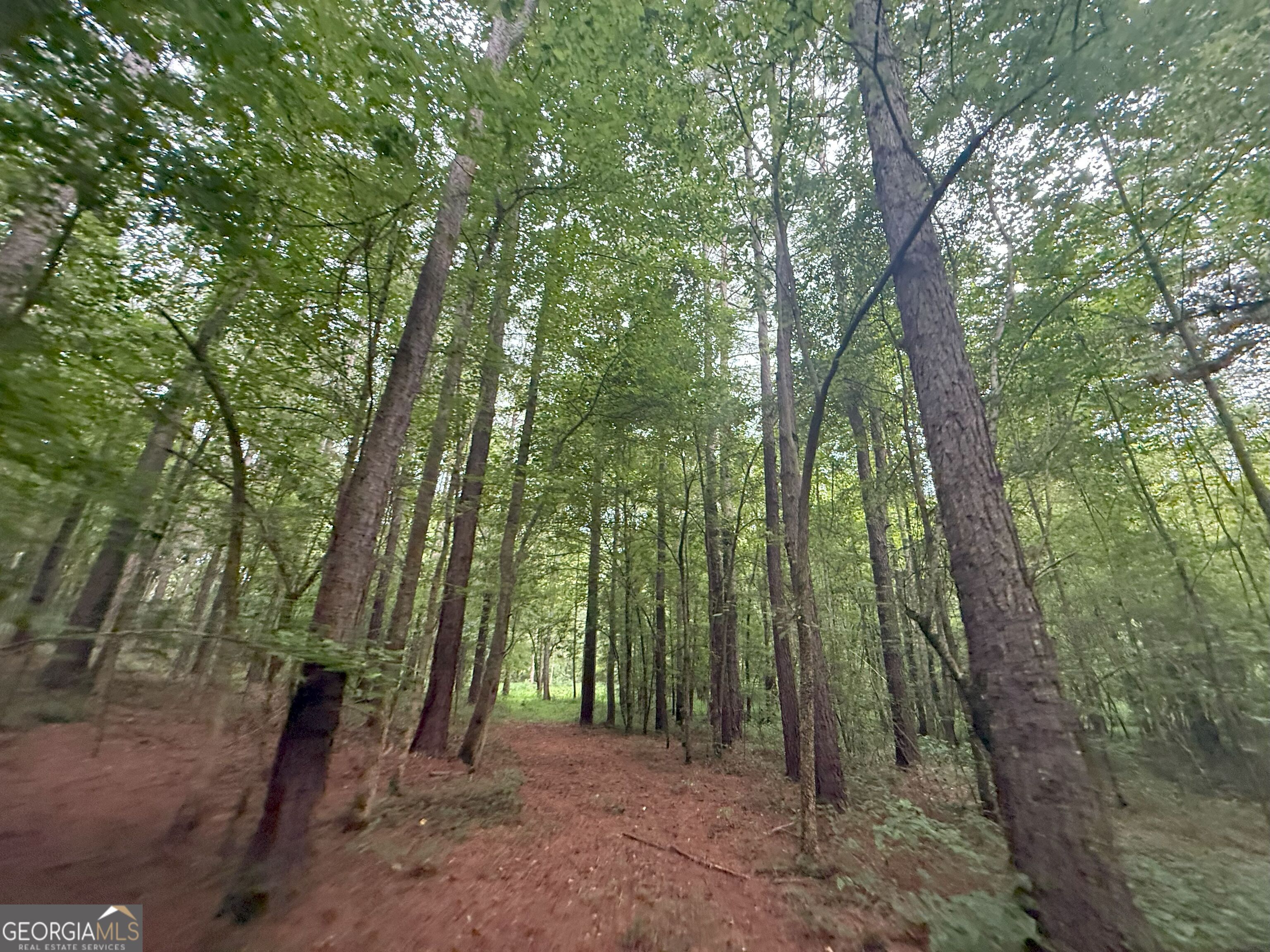 11 Owens Road Maysville, GA 30558 - Photo 95 of 147 a view of outdoor space and green space