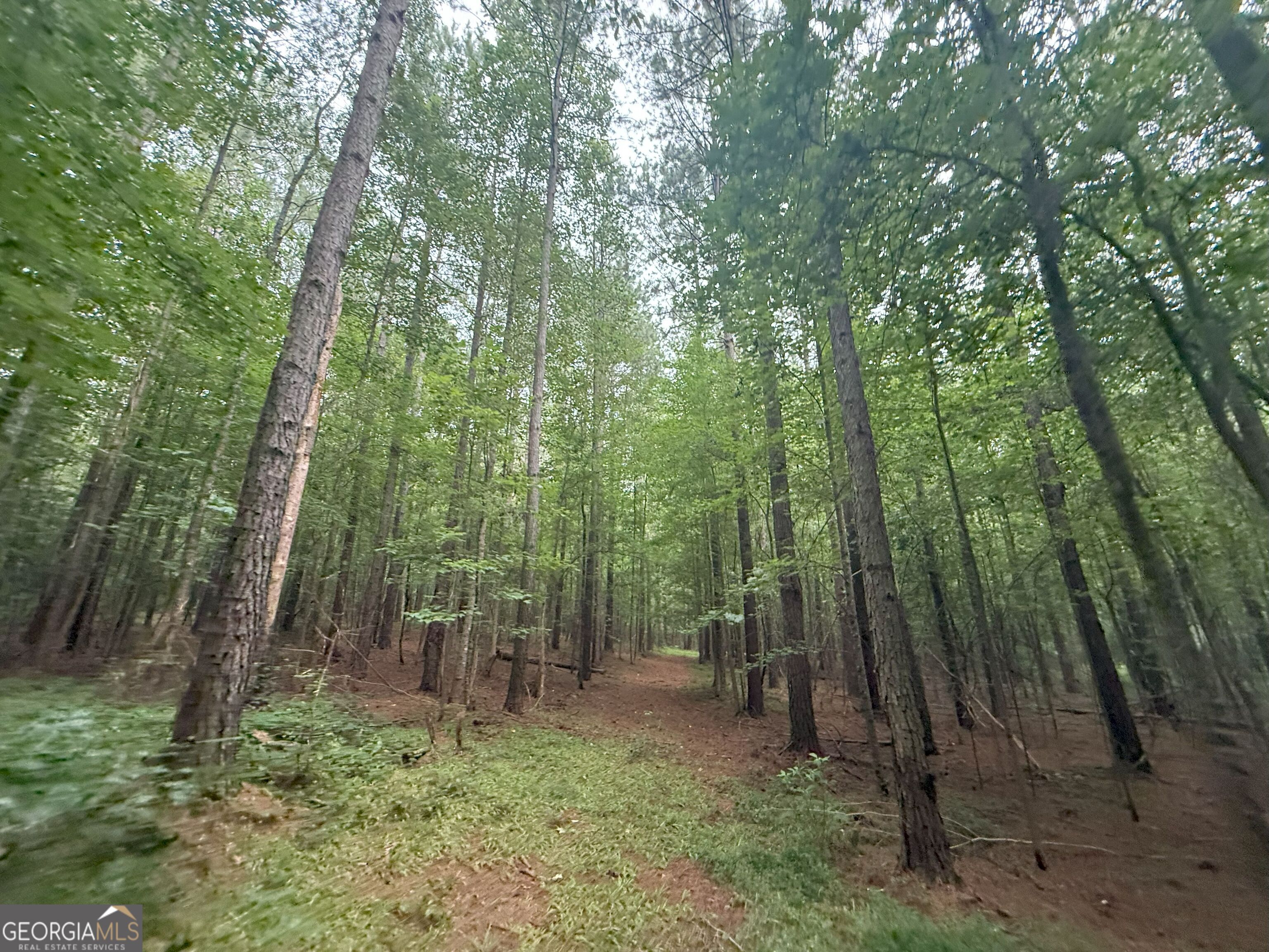 11 Owens Road Maysville, GA 30558 - Photo 97 of 147 a backyard of a house with lots of green space