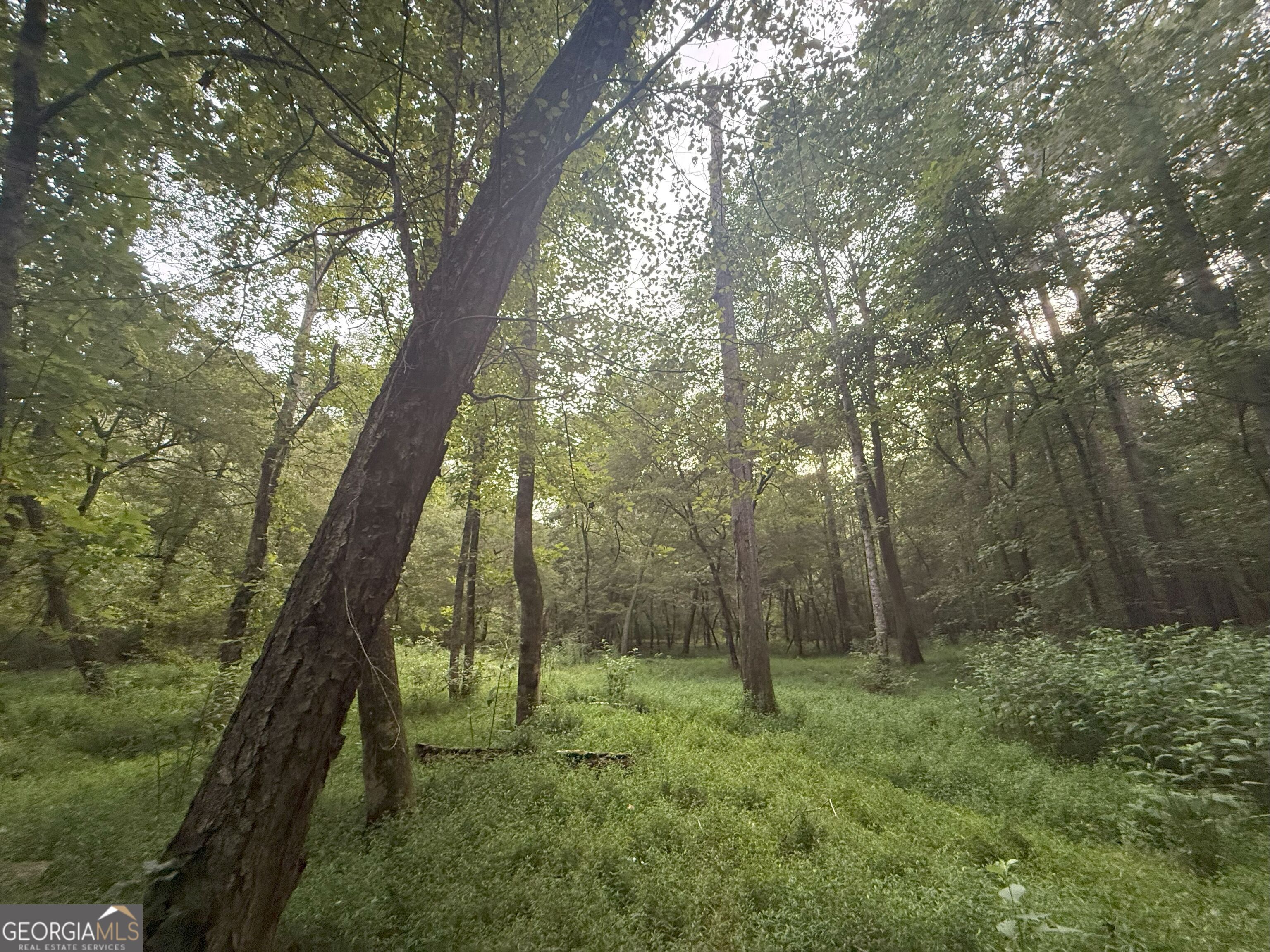 11 Owens Road Maysville, GA 30558 - Photo 10 of 147