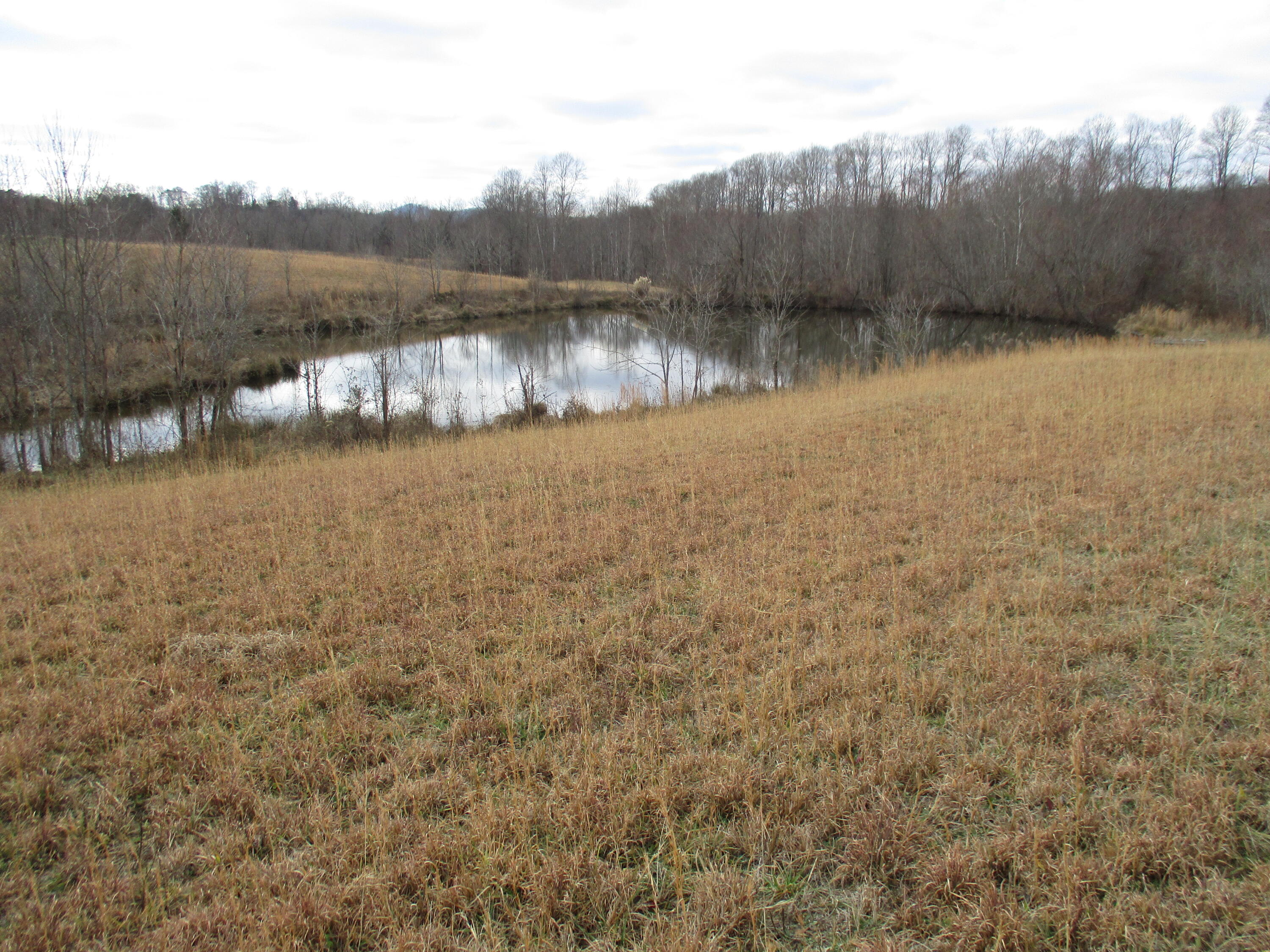 1015 Louden Road Williamsburg, KY 40769 - Photo 11 of 22 IMG_9460