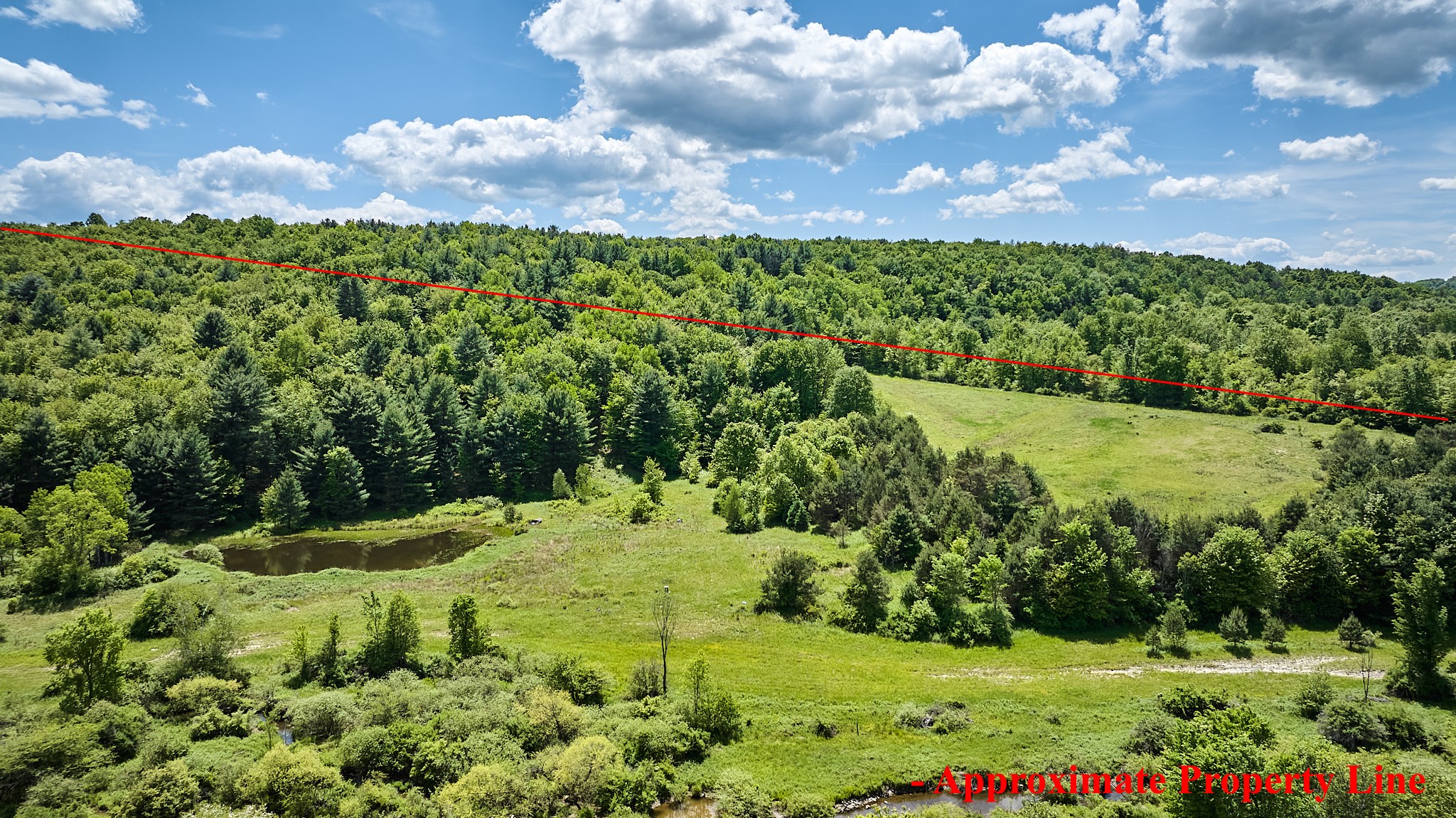 1914 Settle Road Newark Valley, NY 13811 - Photo 9 of 50