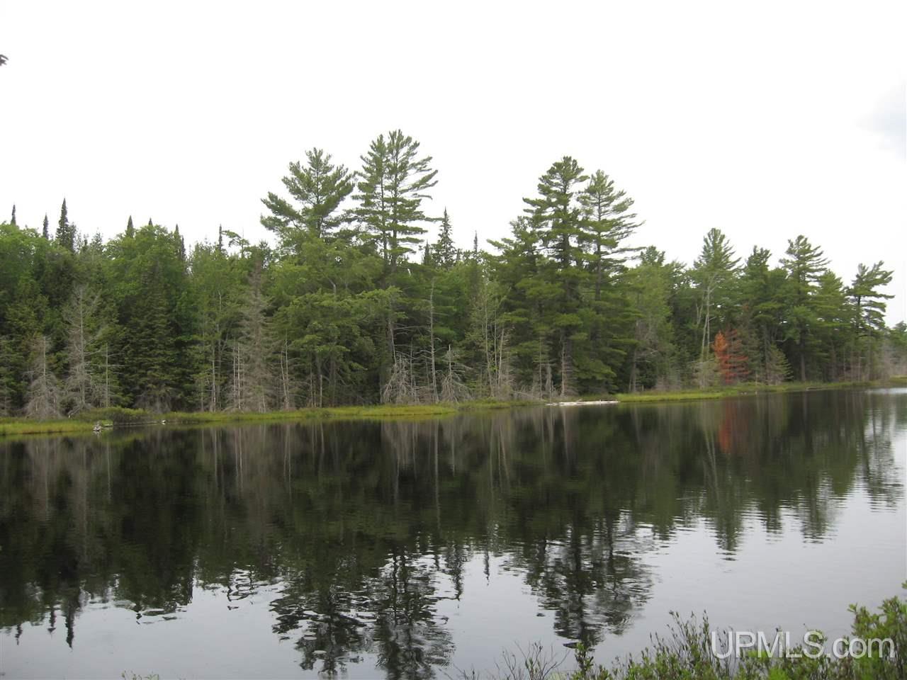 0 Rhody Cr, Unit CARTER LAKE RDP Seney, MI 49883 - Photo 35 of 36