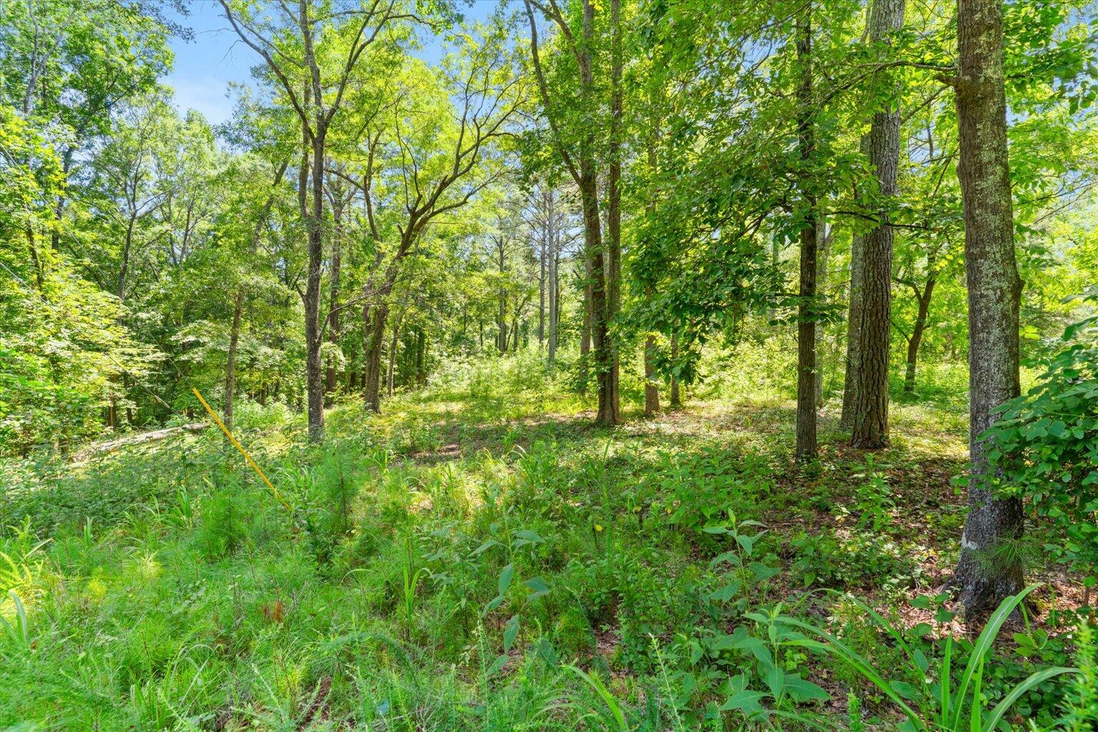 0 Sun Mountain Road Chatsworth, GA 30705 - Photo 8 of 43 07-DSC02232