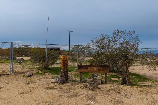 a view of a park with a tree