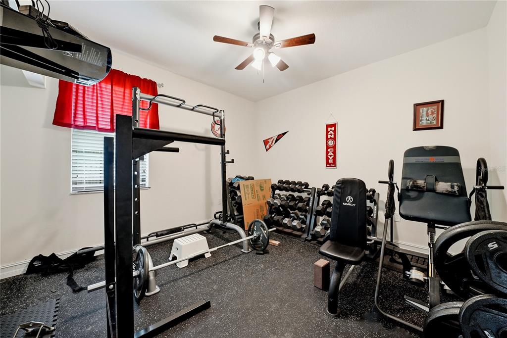 326 Star Shell Drive Apollo Beach, FL 33572 - Photo 21 of 48