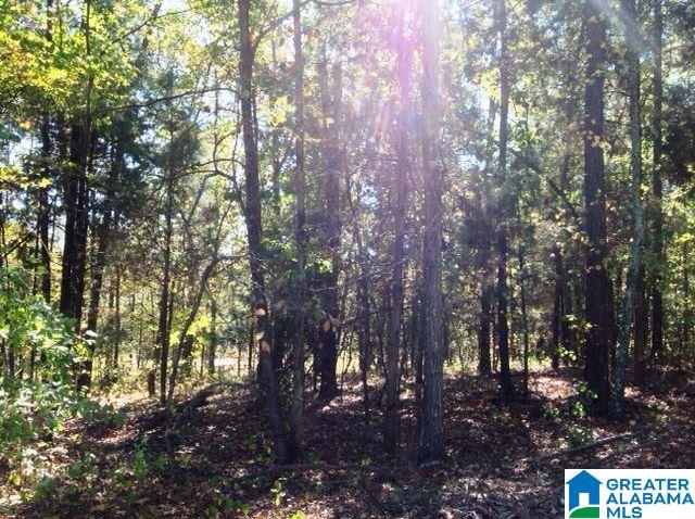 0 Whispering Pines Road, Unit 1 AMD 2 Oxford, AL 36203 - Photo 30 of 30