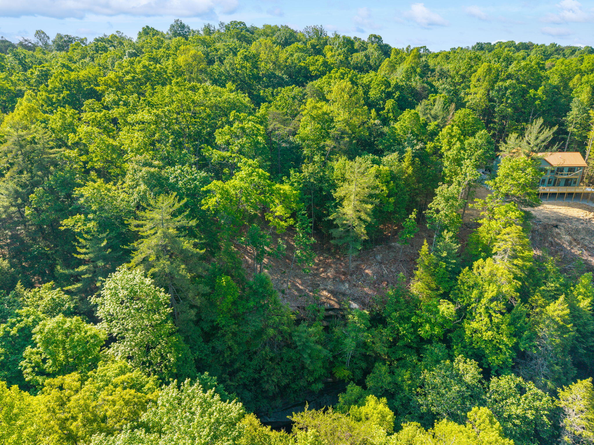 230 Eureka Road Zoe, KY 41397 - Photo 19 of 25 19-web-or-mls-DJI_20260518093112_0053_D