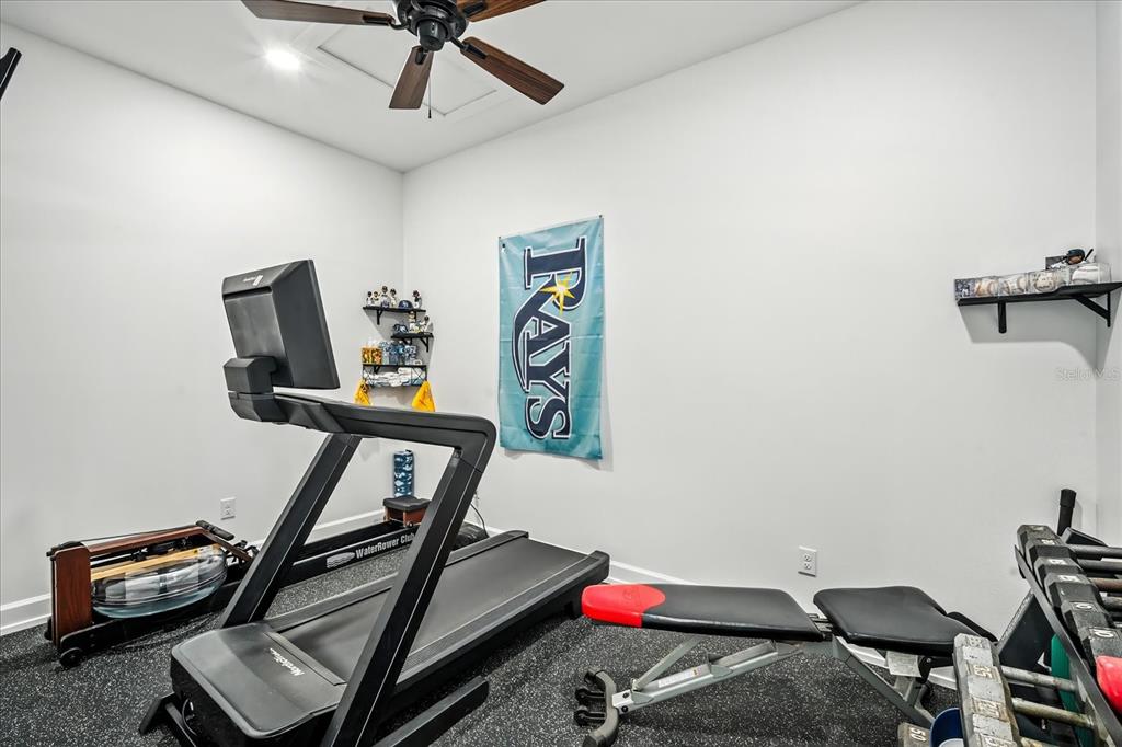 8317 Alafia Pointe Drive Riverview, FL 33578 - Photo 33 of 47 a view of a room with gym equipment