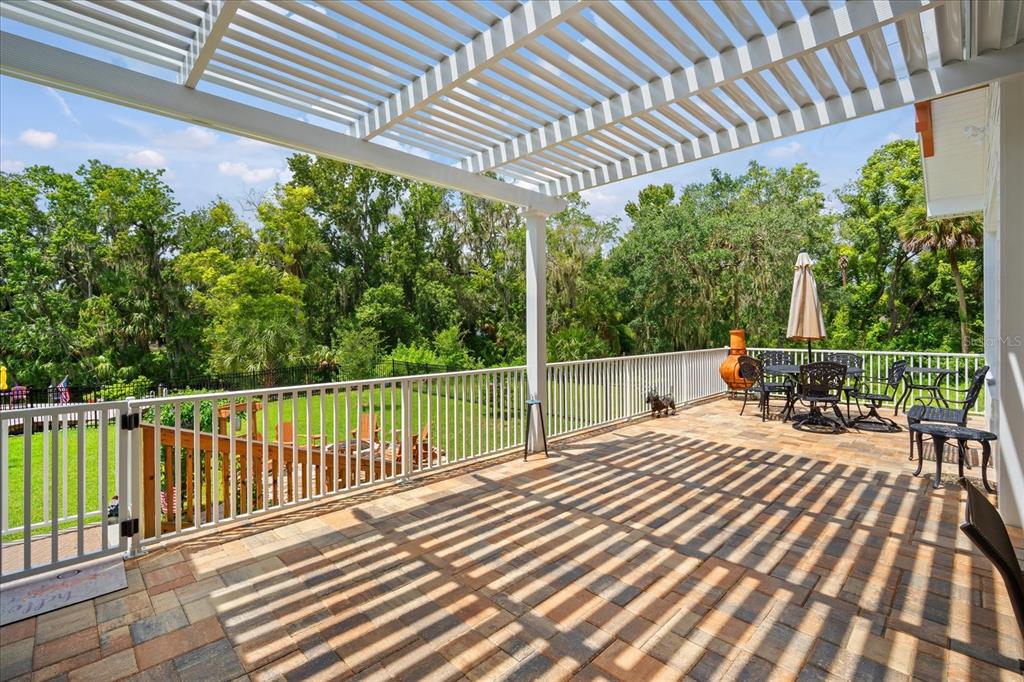 8317 Alafia Pointe Drive Riverview, FL 33578 - Photo 39 of 47 a balcony with furniture and potted plants