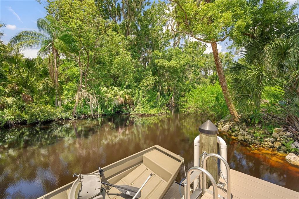 8317 Alafia Pointe Drive Riverview, FL 33578 - Photo 45 of 47 a view of lake