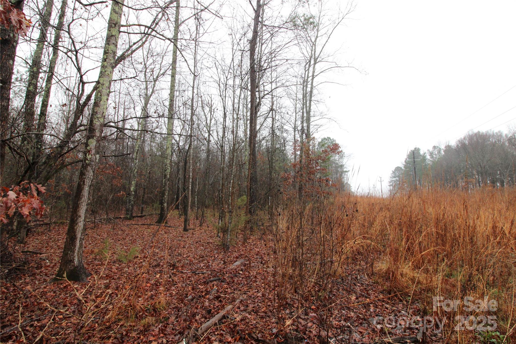 4.58-ac Eaker Road, Unit LOT 4 Bessemer City, NC 28016 - Photo 2 of 6