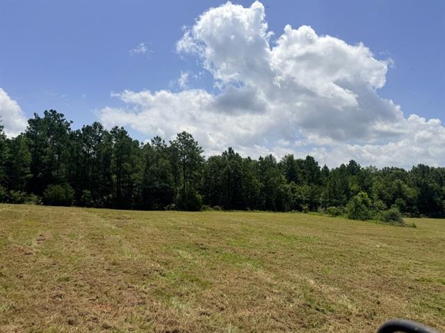 1916 Bayou Maria Road Pineville, LA 71360 - Photo 4 of 5