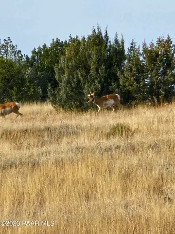 a view of swimming pool and mountain view