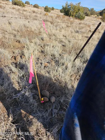 a view of a dry yard with wooden fence
