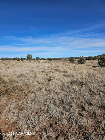 a view of a field with an ocean view