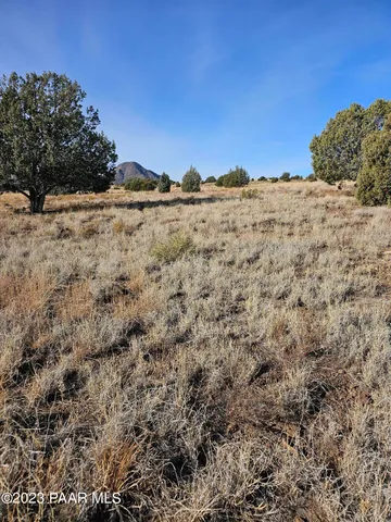 a view of a snow on the beach