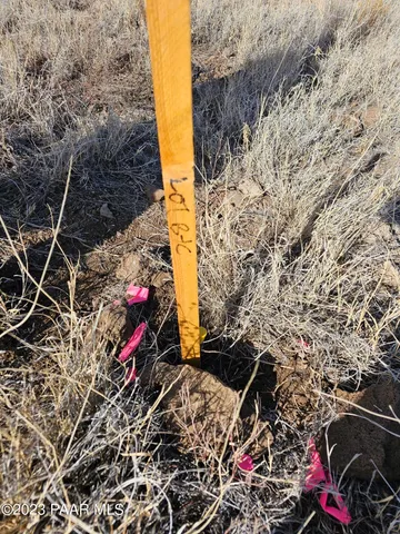 a front view of a house with a tree