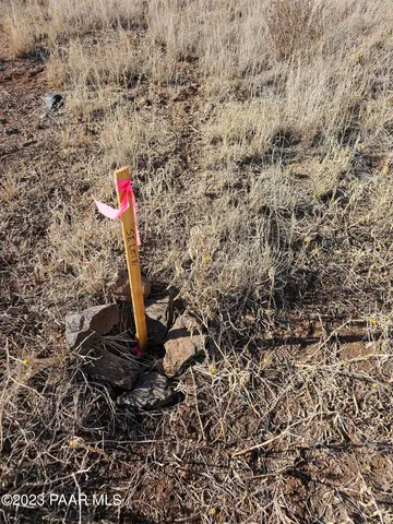 a view of city and ocean