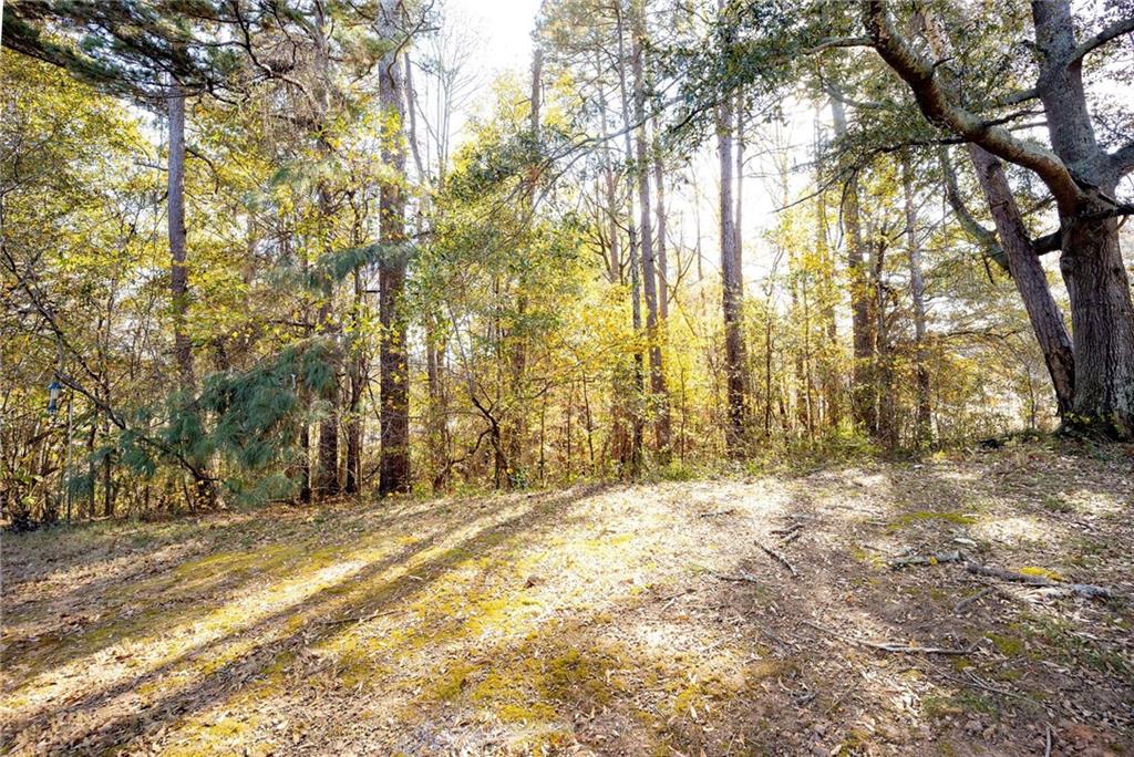 1468 Box Circle Winder, GA 30680 - Photo 13 of 33 a view of large trees with yard