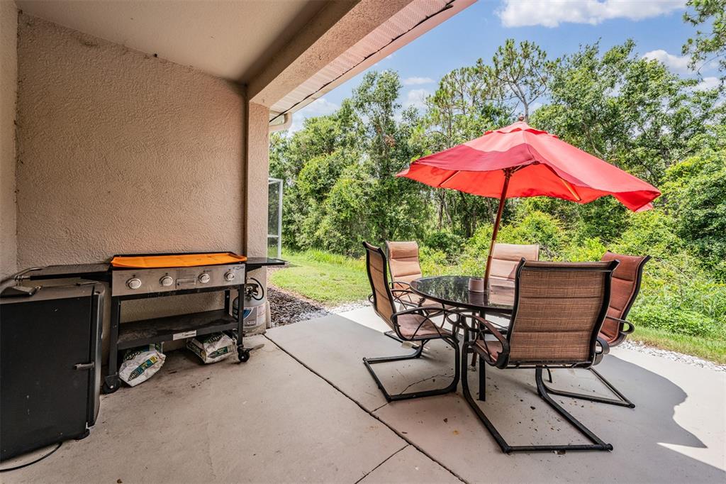 5886 Fishhawk Ridge Drive Lithia, FL 33547 - Photo 22 of 37 a view of a patio with a table and chairs under an umbrella