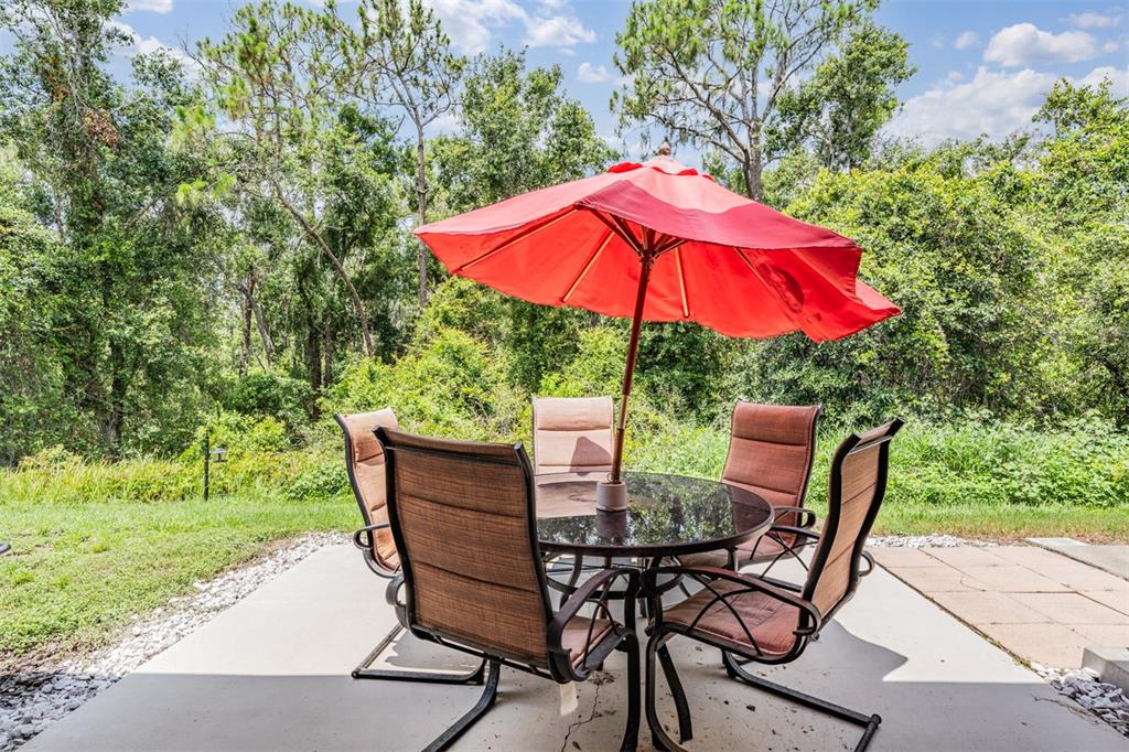 5886 Fishhawk Ridge Drive Lithia, FL 33547 - Photo 23 of 37 a view of backyard with seating space and trees