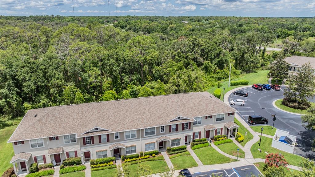 5886 Fishhawk Ridge Drive Lithia, FL 33547 - Photo 36 of 37 an aerial view of a house with a big yard