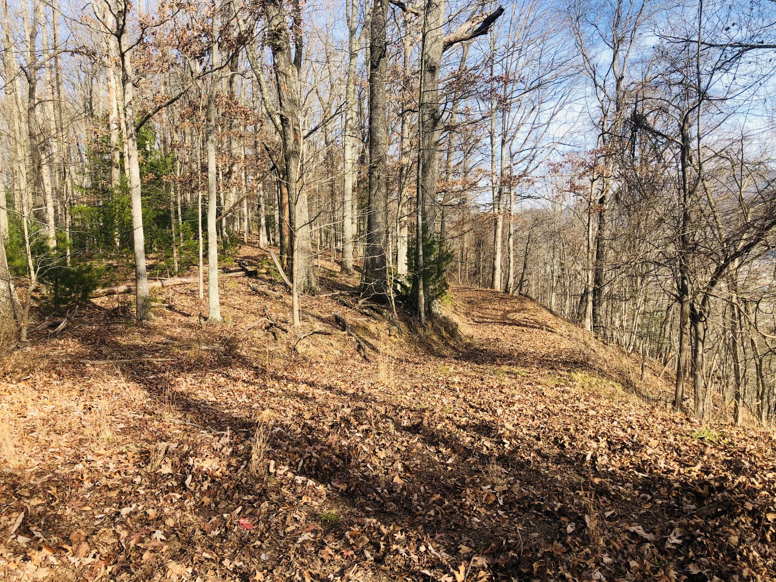 Tbd Jonesborough Road Erwin, TN 37650 - Photo 8 of 41 3E687C19-81BF-4637-9677-4D2B1D15197B