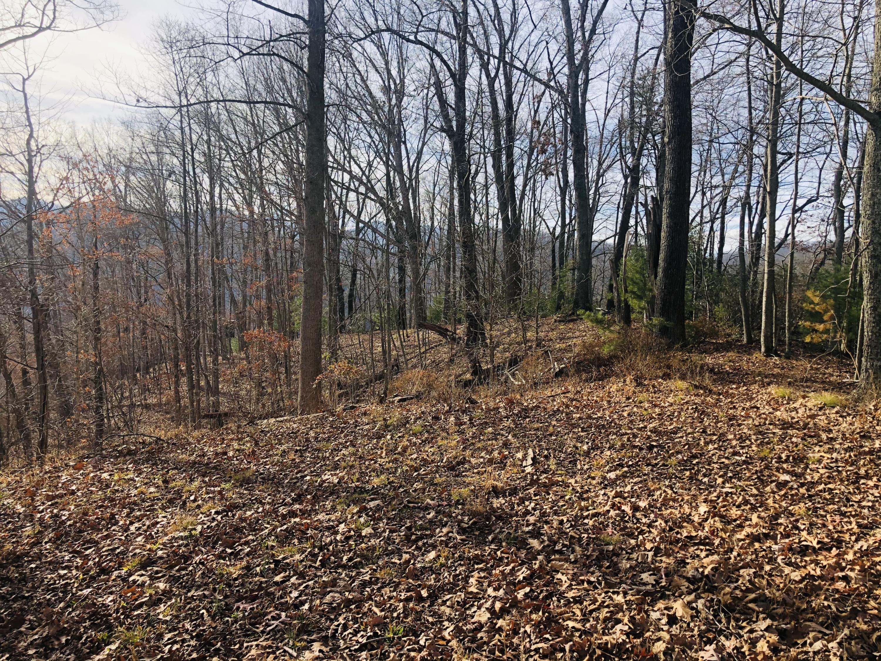 Tbd Jonesborough Road Erwin, TN 37650 - Photo 9 of 41 8498F087-8250-417D-8375-E02F0C72EBB3
