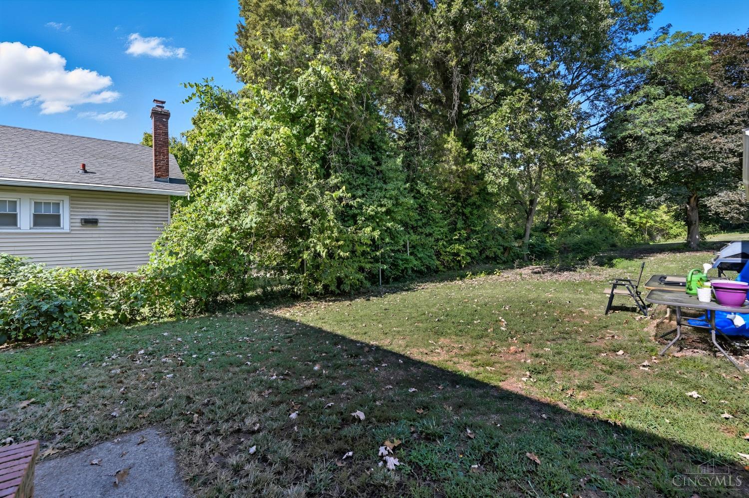 162 Ridgeway Road Cincinnati, OH 45216 - Photo 35 of 45