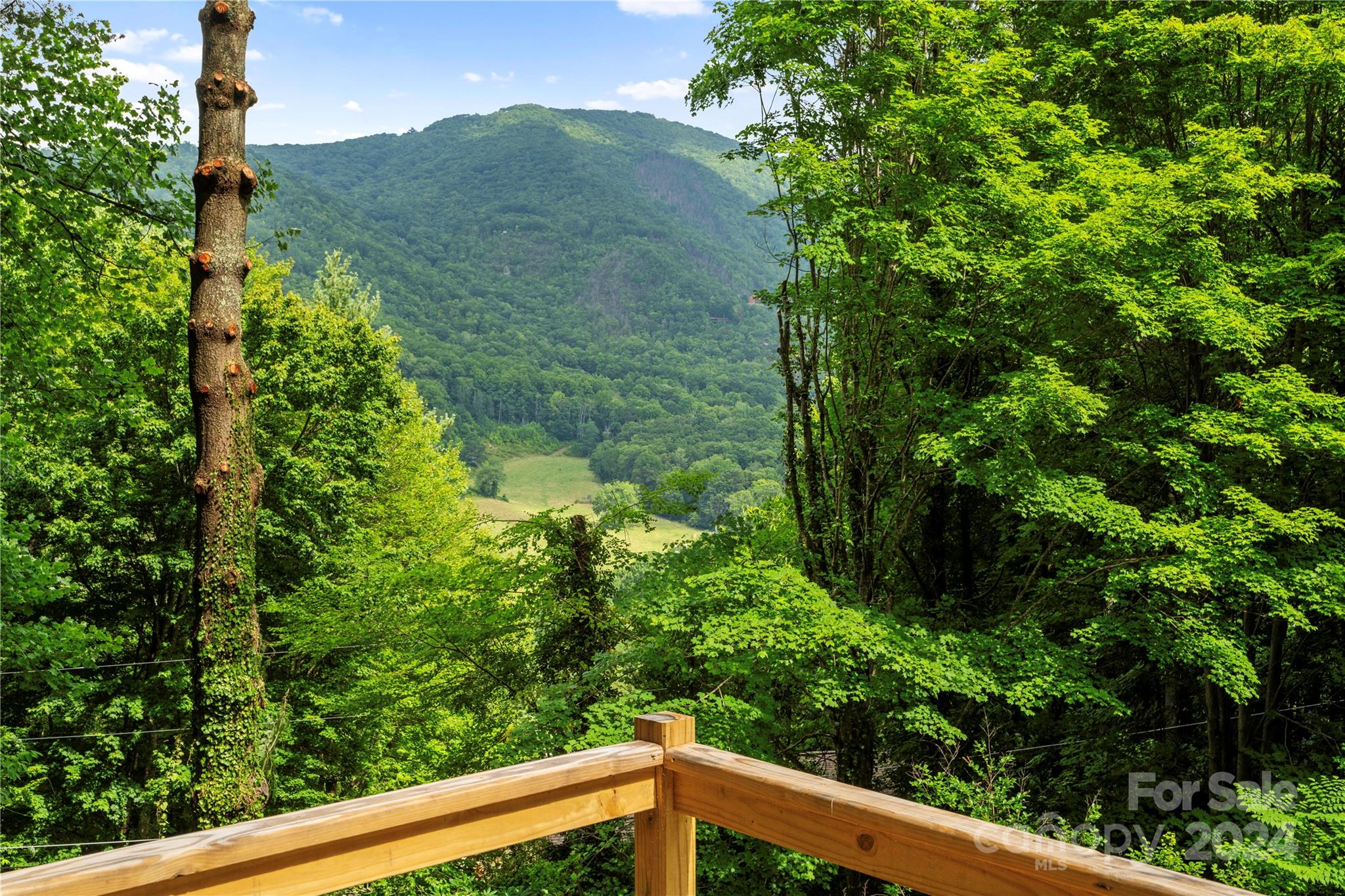 282 Soco Acres Road Maggie Valley, NC 28751 - Photo 3 of 44