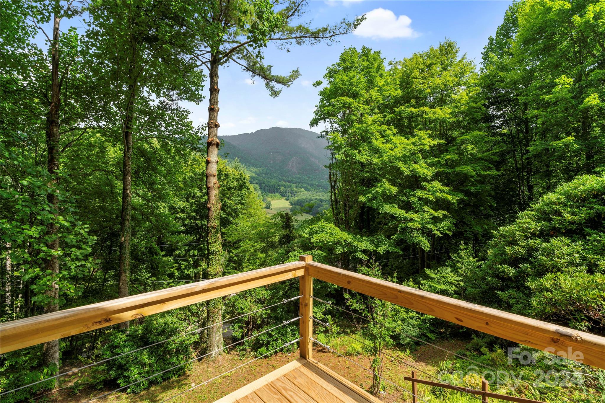 282 Soco Acres Road Maggie Valley, NC 28751 - Photo 41 of 44