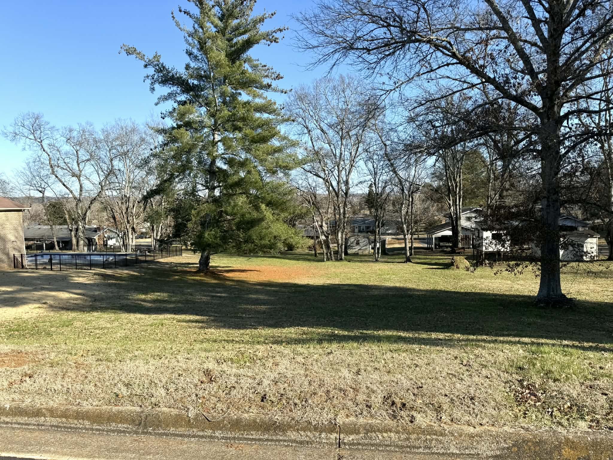 a view of yard with large tree