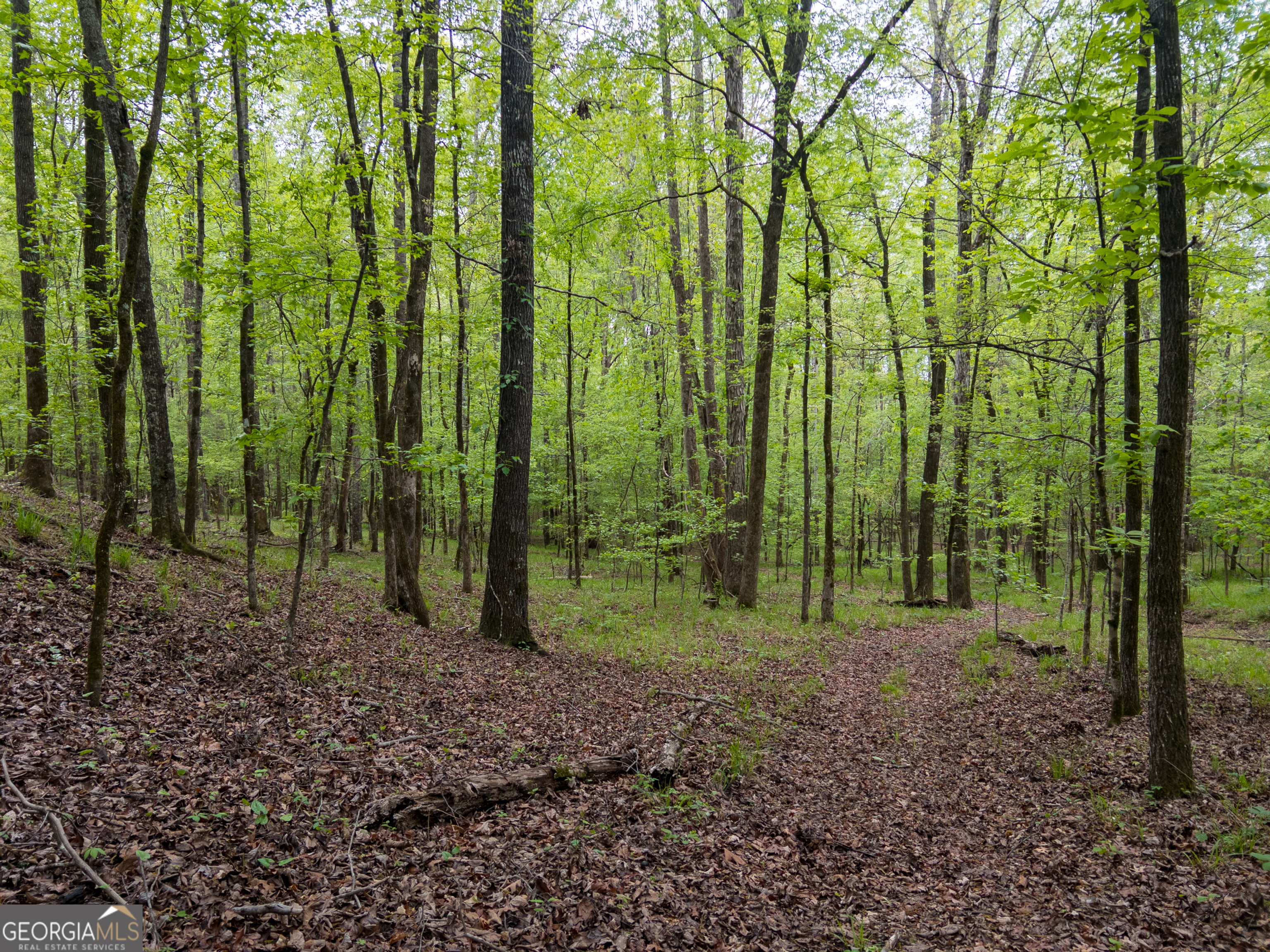 V/l Georgia Kaolin Road Dry Branch, GA 31020 - Photo 1 of 24