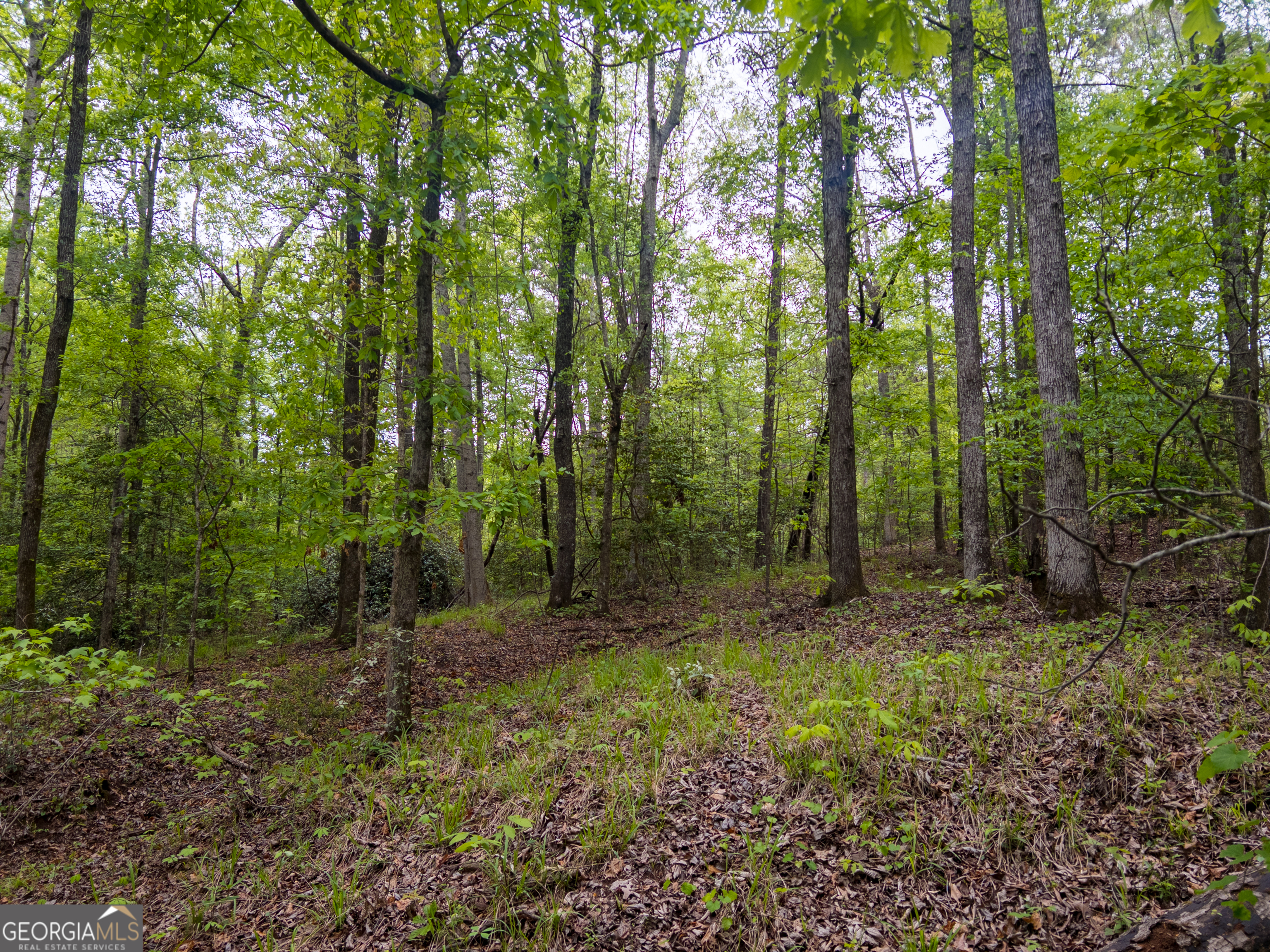 V/l Georgia Kaolin Road Dry Branch, GA 31020 - Photo 11 of 24