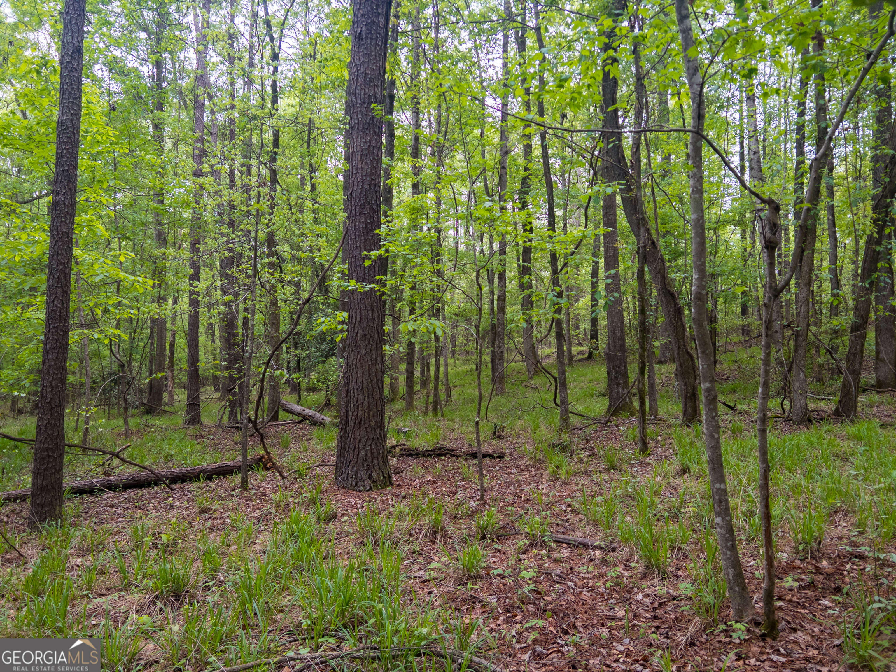 V/l Georgia Kaolin Road Dry Branch, GA 31020 - Photo 12 of 24