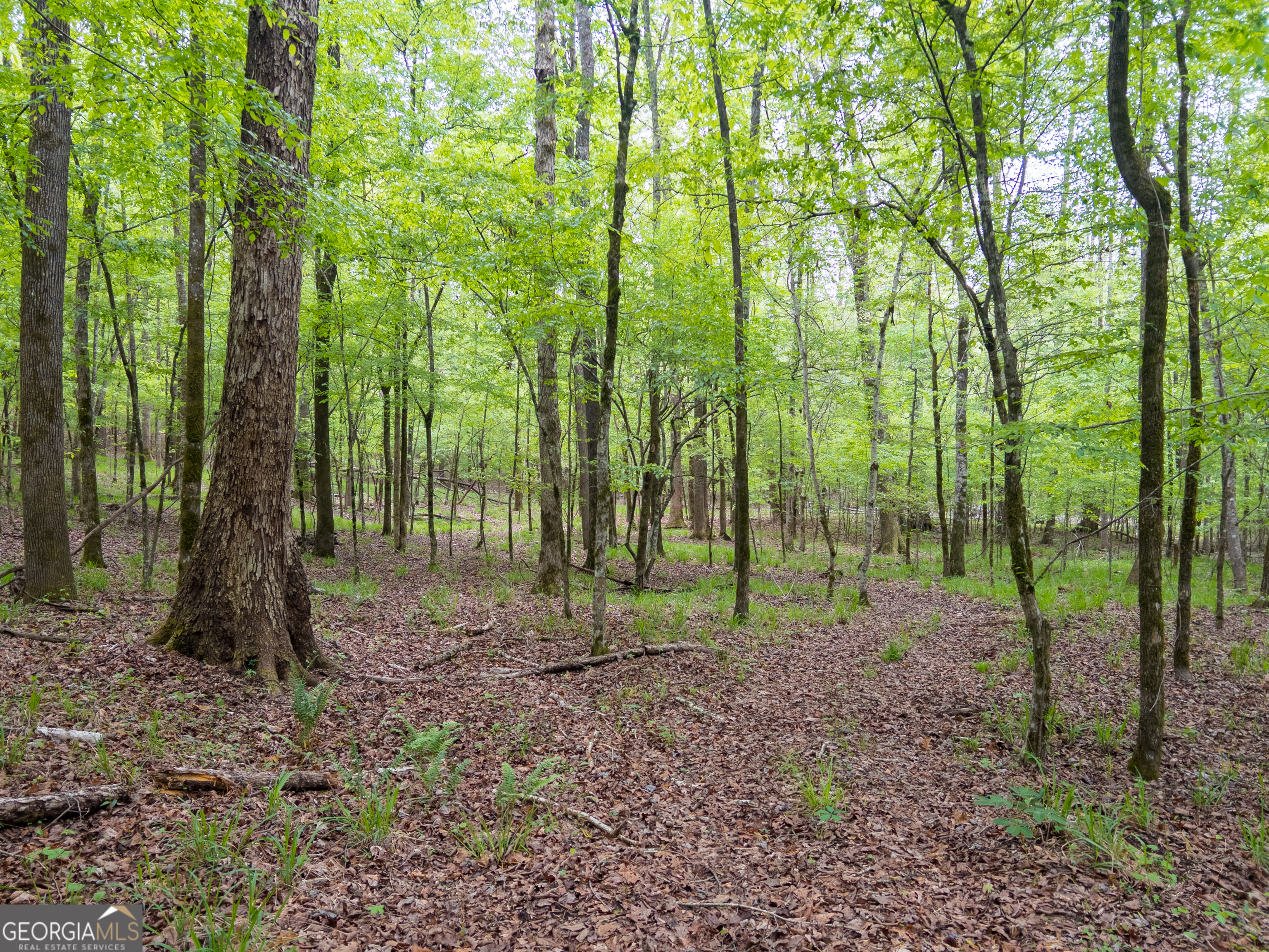 V/l Georgia Kaolin Road Dry Branch, GA 31020 - Photo 13 of 24