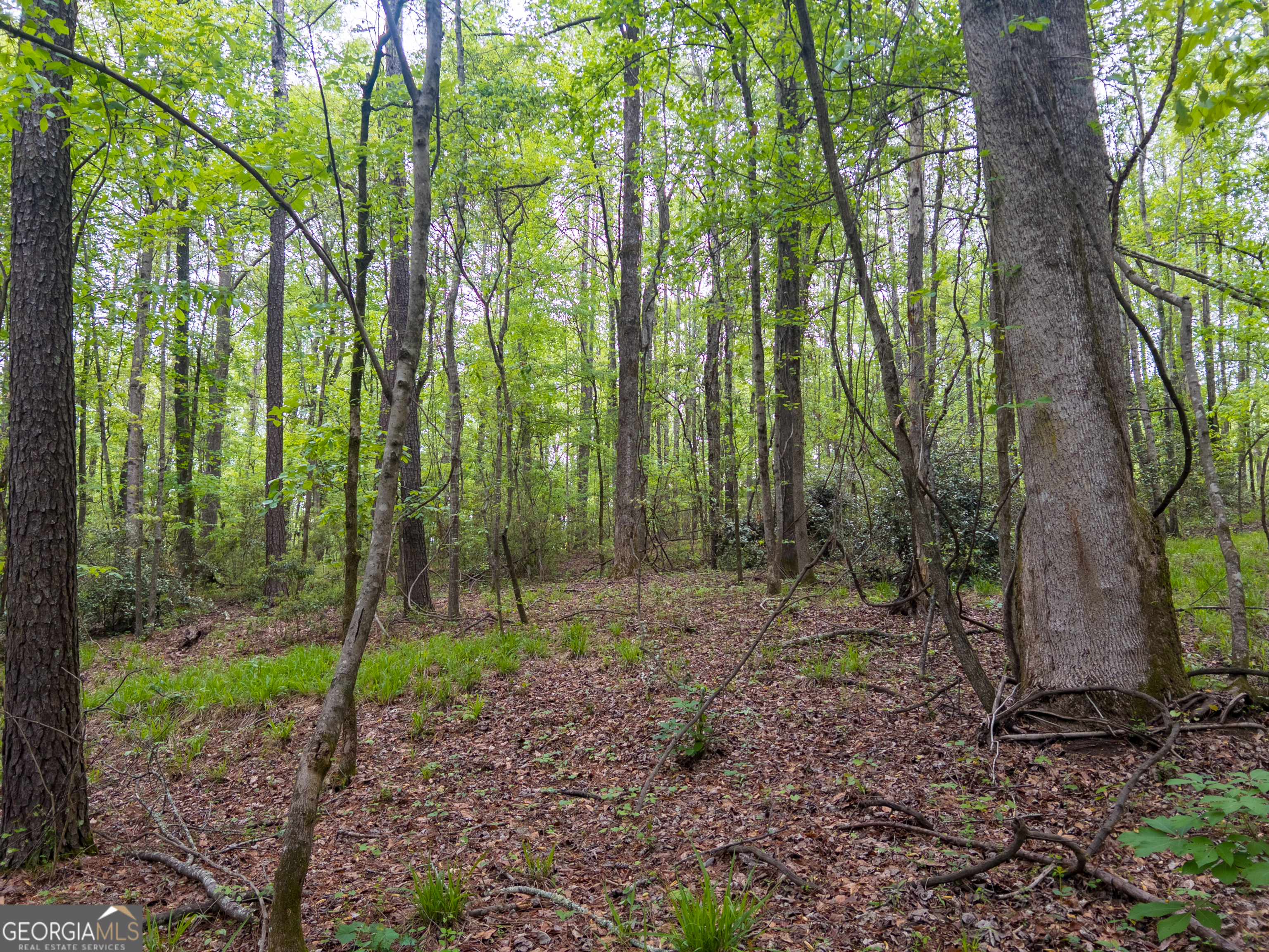 V/l Georgia Kaolin Road Dry Branch, GA 31020 - Photo 14 of 24