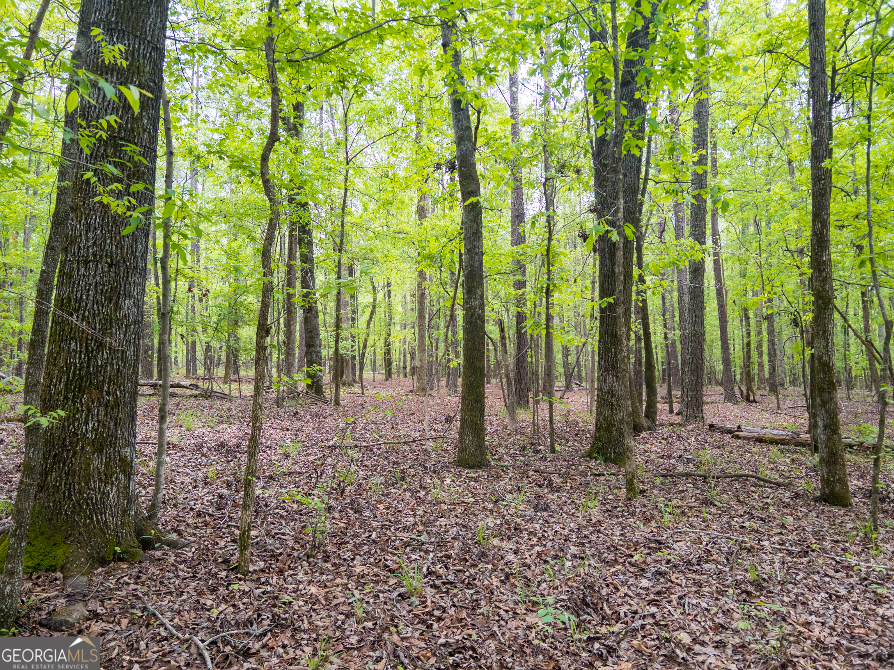 V/l Georgia Kaolin Road Dry Branch, GA 31020 - Photo 15 of 24
