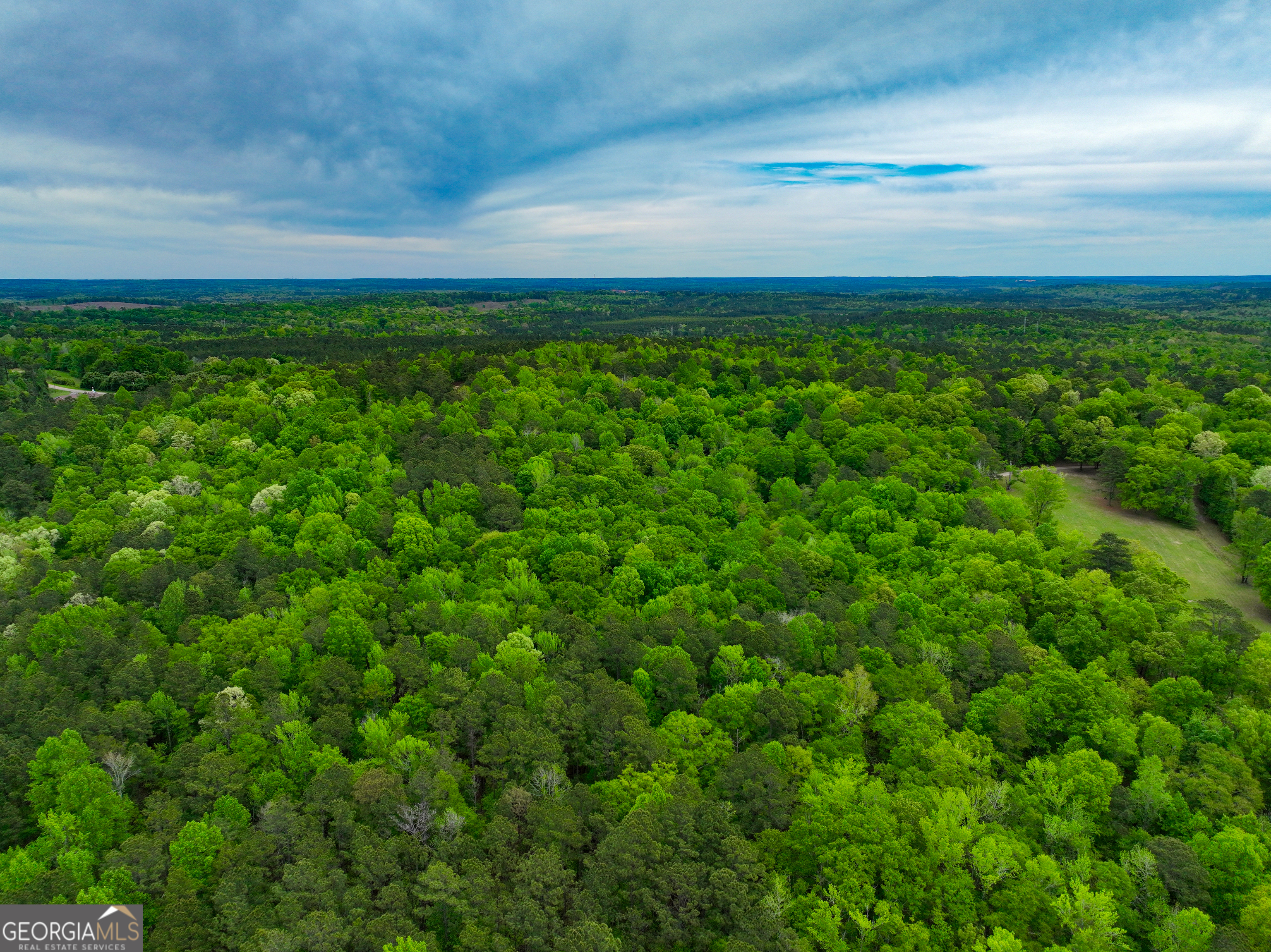 V/l Georgia Kaolin Road Dry Branch, GA 31020 - Photo 16 of 24