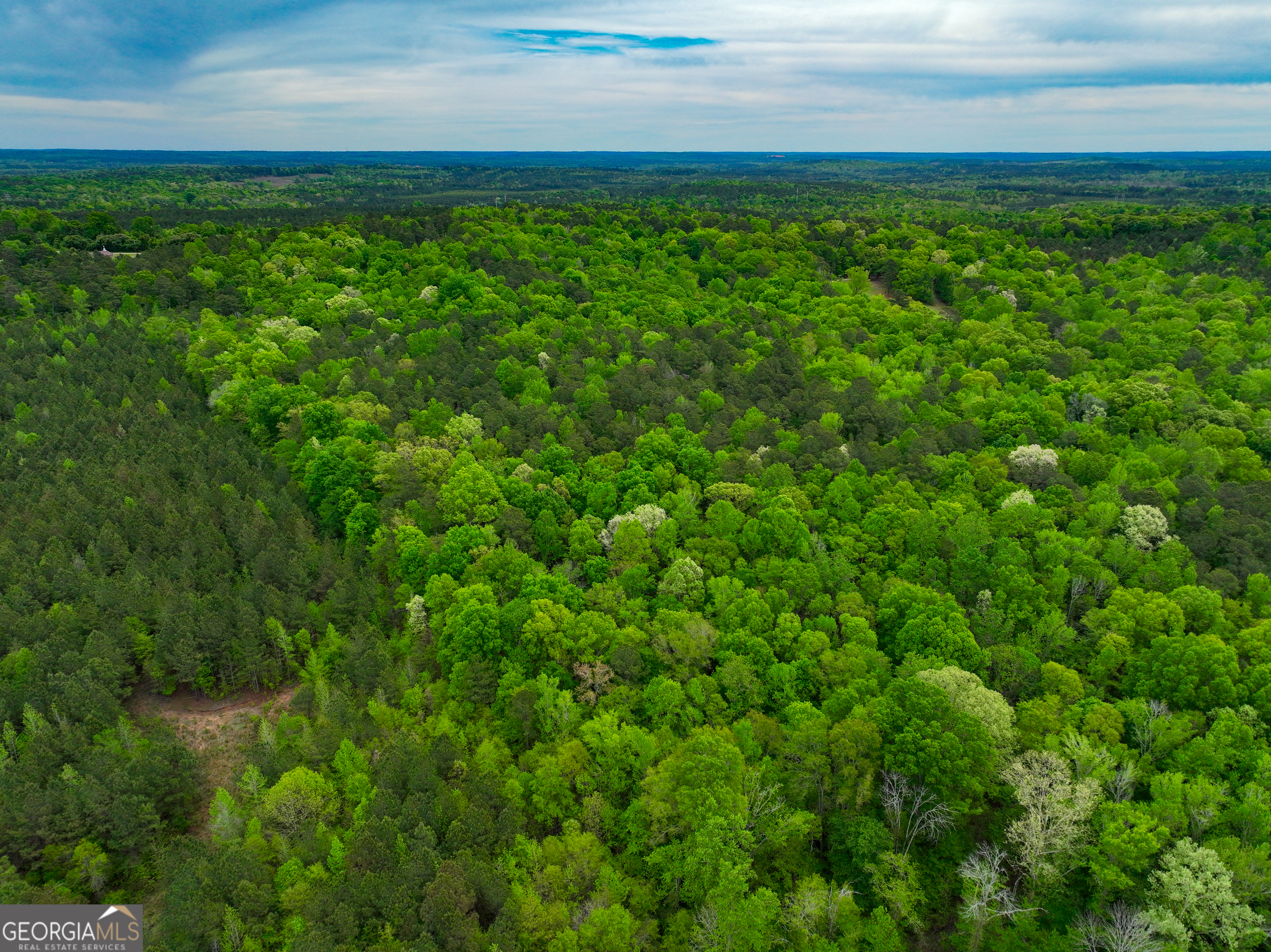 V/l Georgia Kaolin Road Dry Branch, GA 31020 - Photo 17 of 24