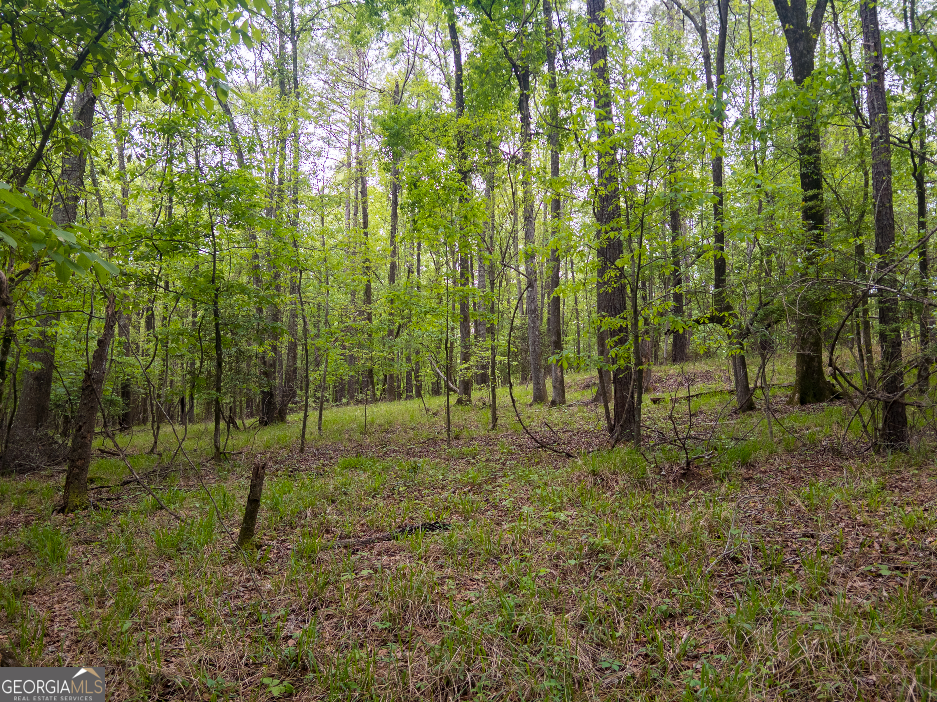 V/l Georgia Kaolin Road Dry Branch, GA 31020 - Photo 18 of 24