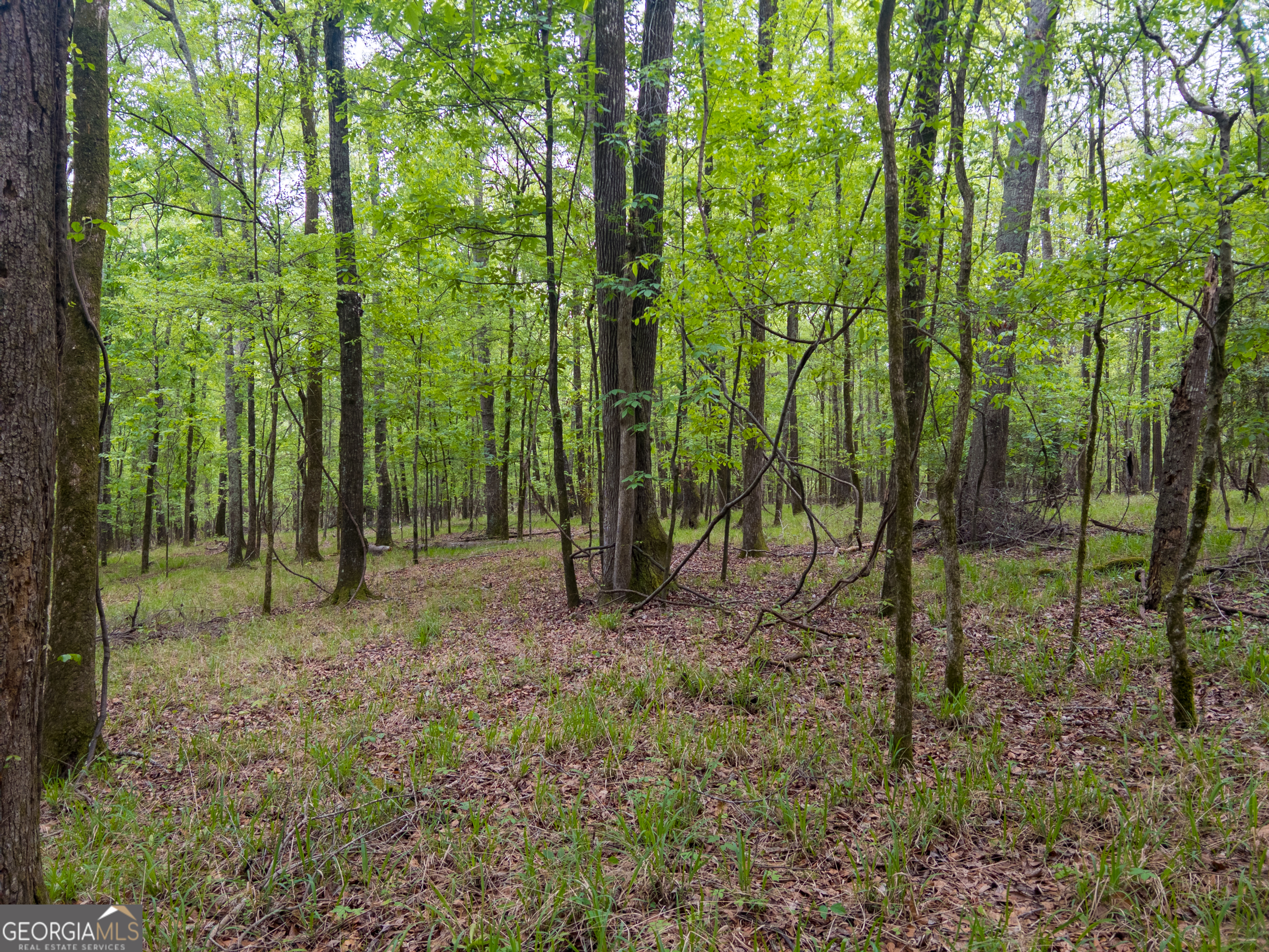 V/l Georgia Kaolin Road Dry Branch, GA 31020 - Photo 19 of 24