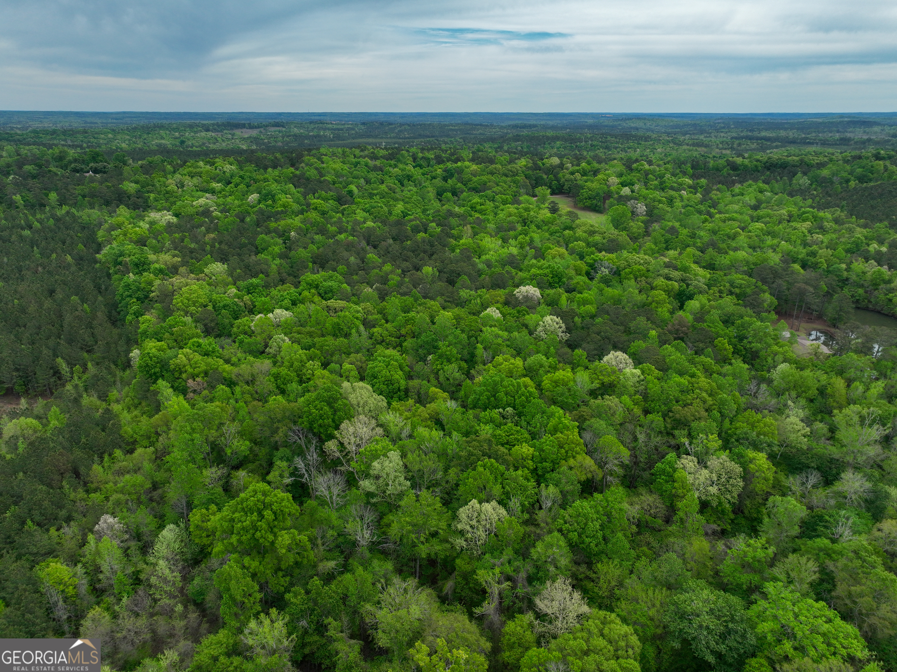 V/l Georgia Kaolin Road Dry Branch, GA 31020 - Photo 20 of 24