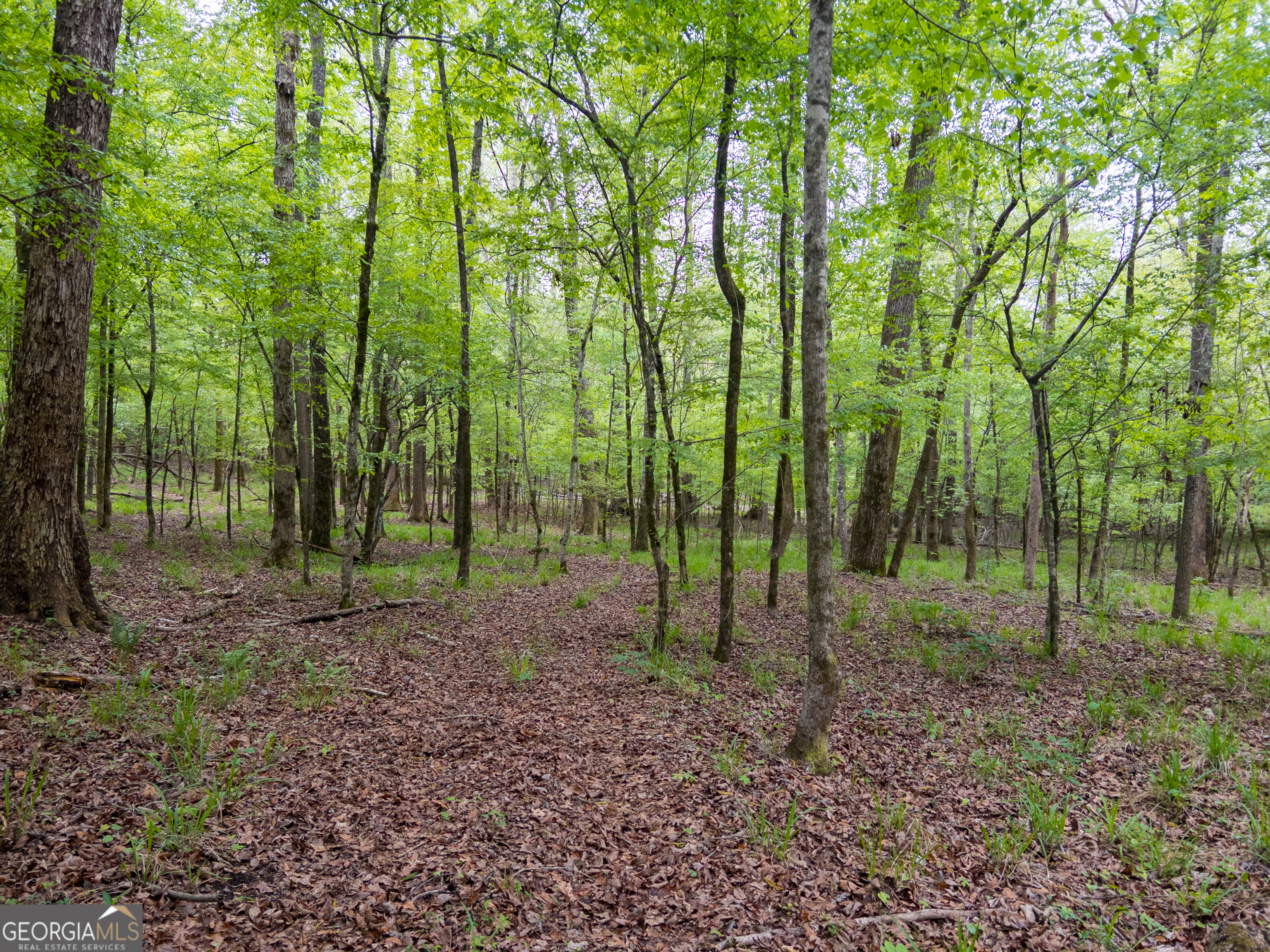V/l Georgia Kaolin Road Dry Branch, GA 31020 - Photo 2 of 24