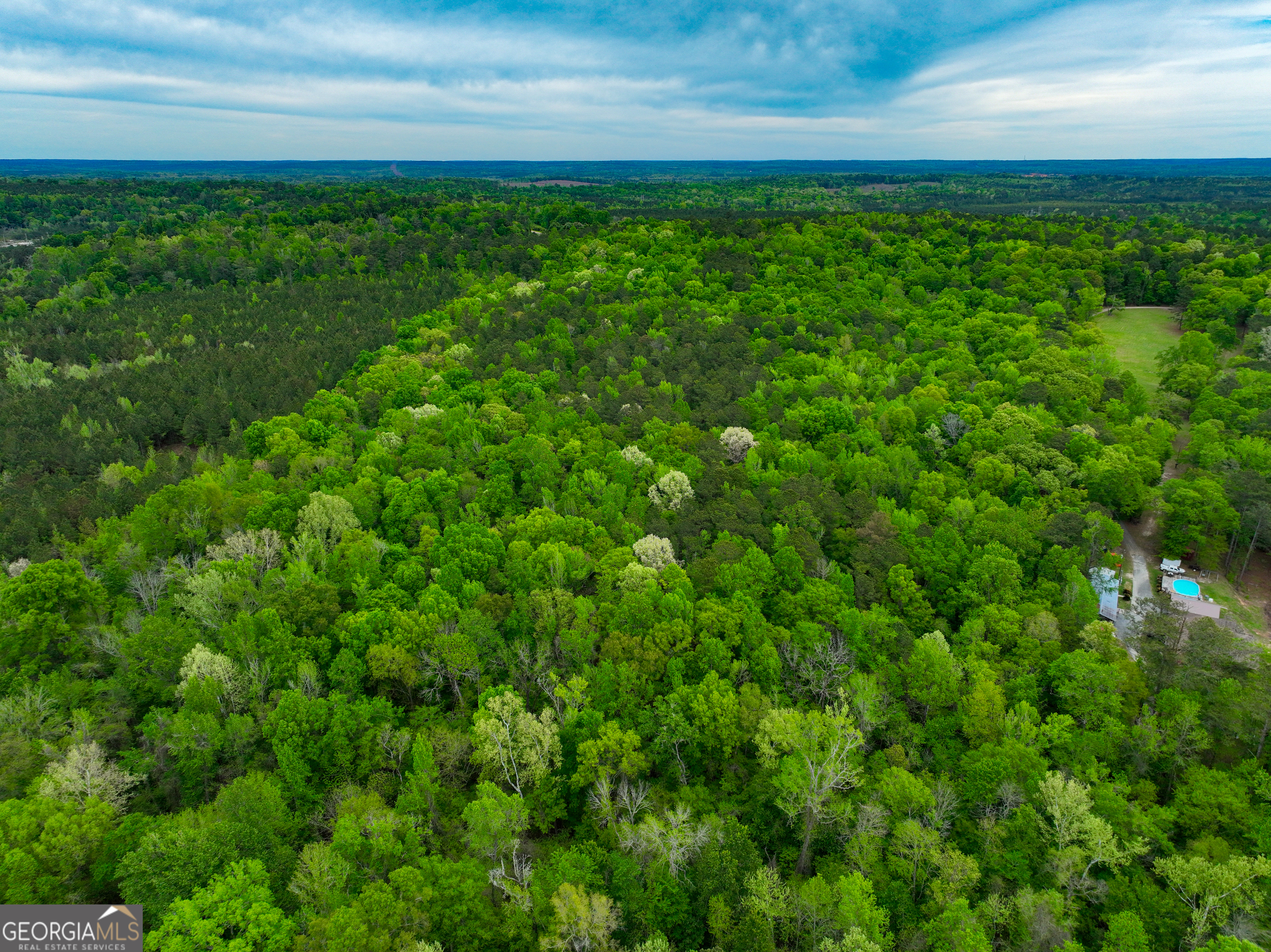 V/l Georgia Kaolin Road Dry Branch, GA 31020 - Photo 21 of 24