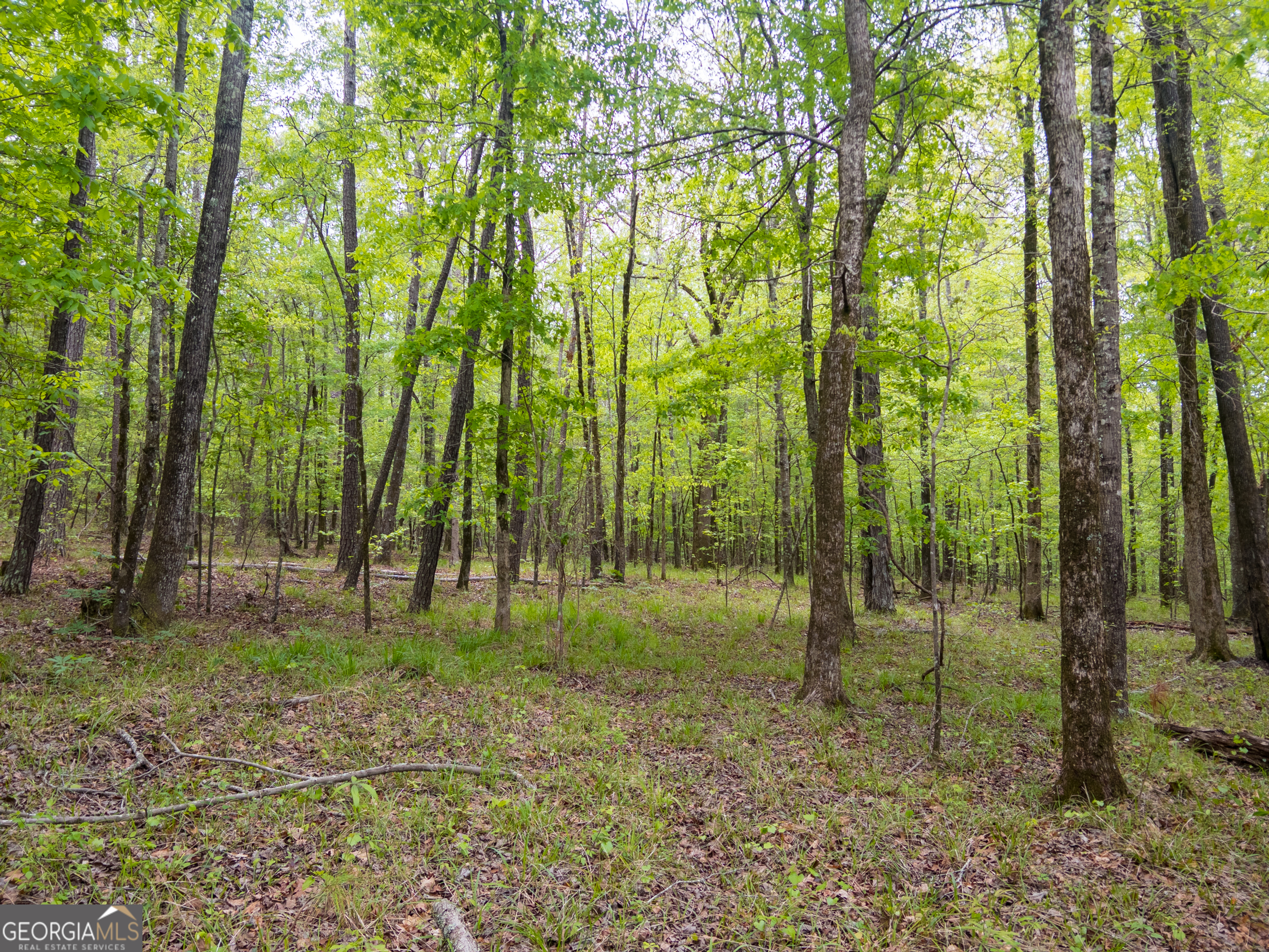 V/l Georgia Kaolin Road Dry Branch, GA 31020 - Photo 23 of 24
